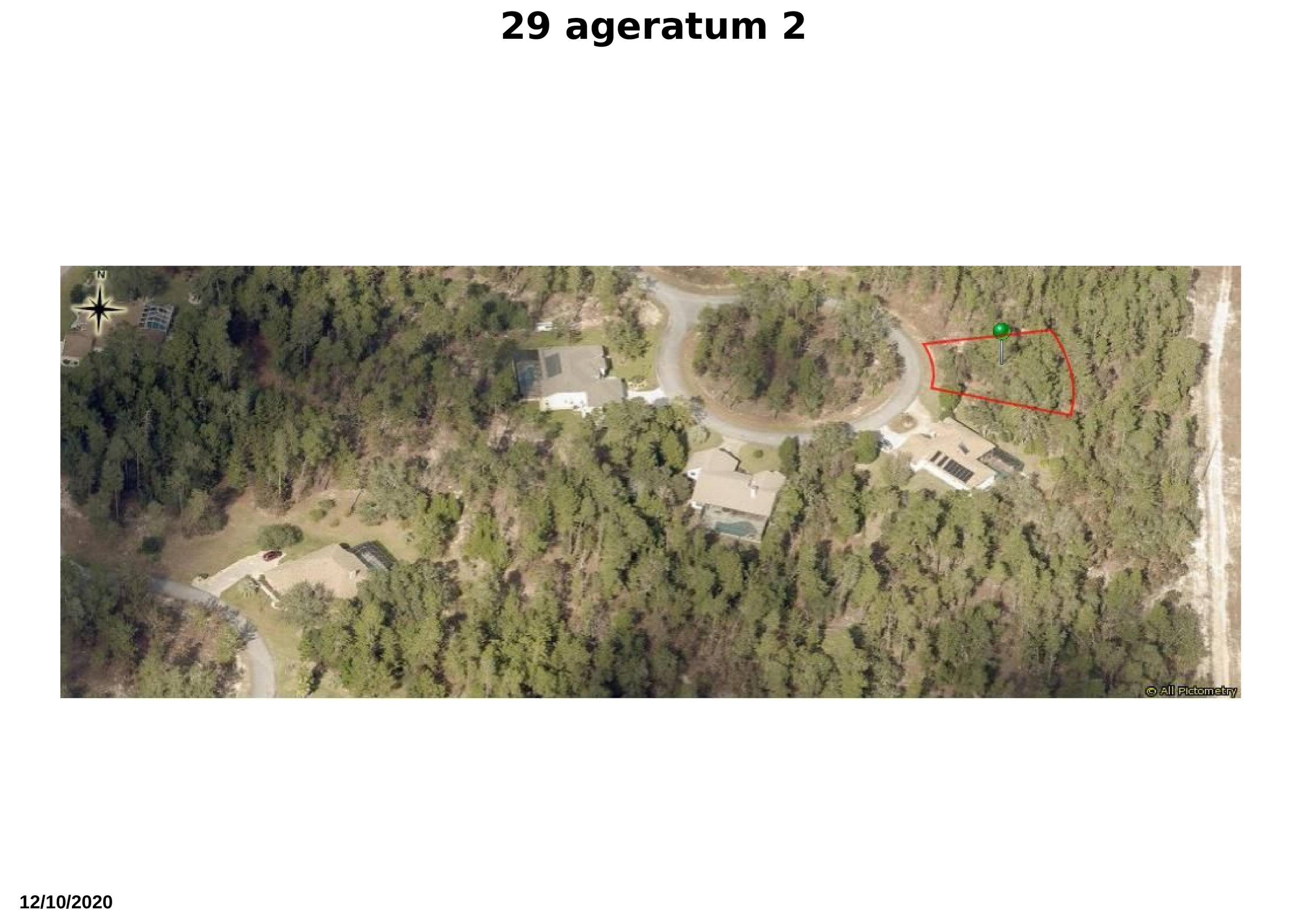 Homosassa, FL 34446,29 Ageratum CT