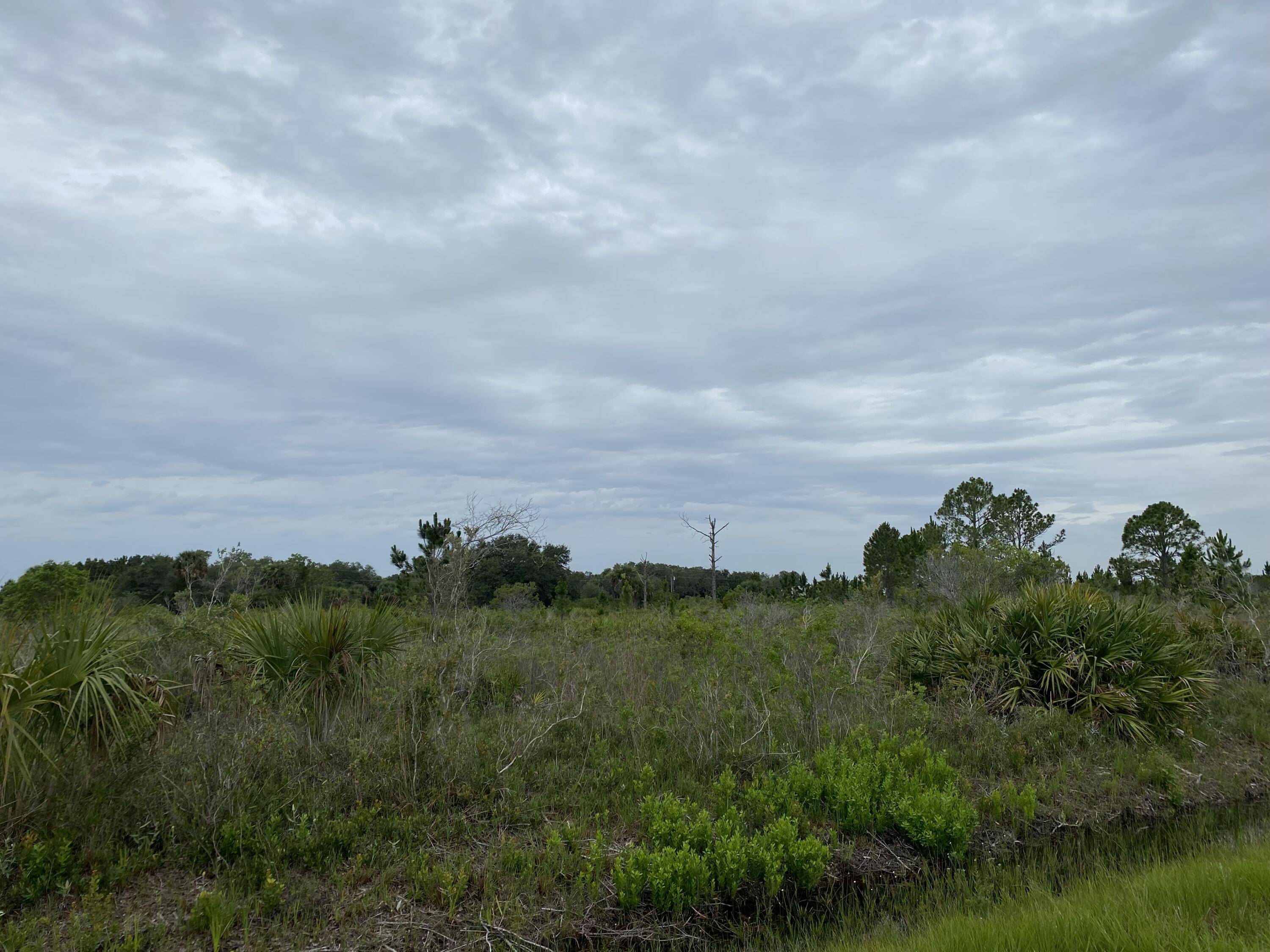 Okeechobee, FL 34972,17388 NW 298th ST