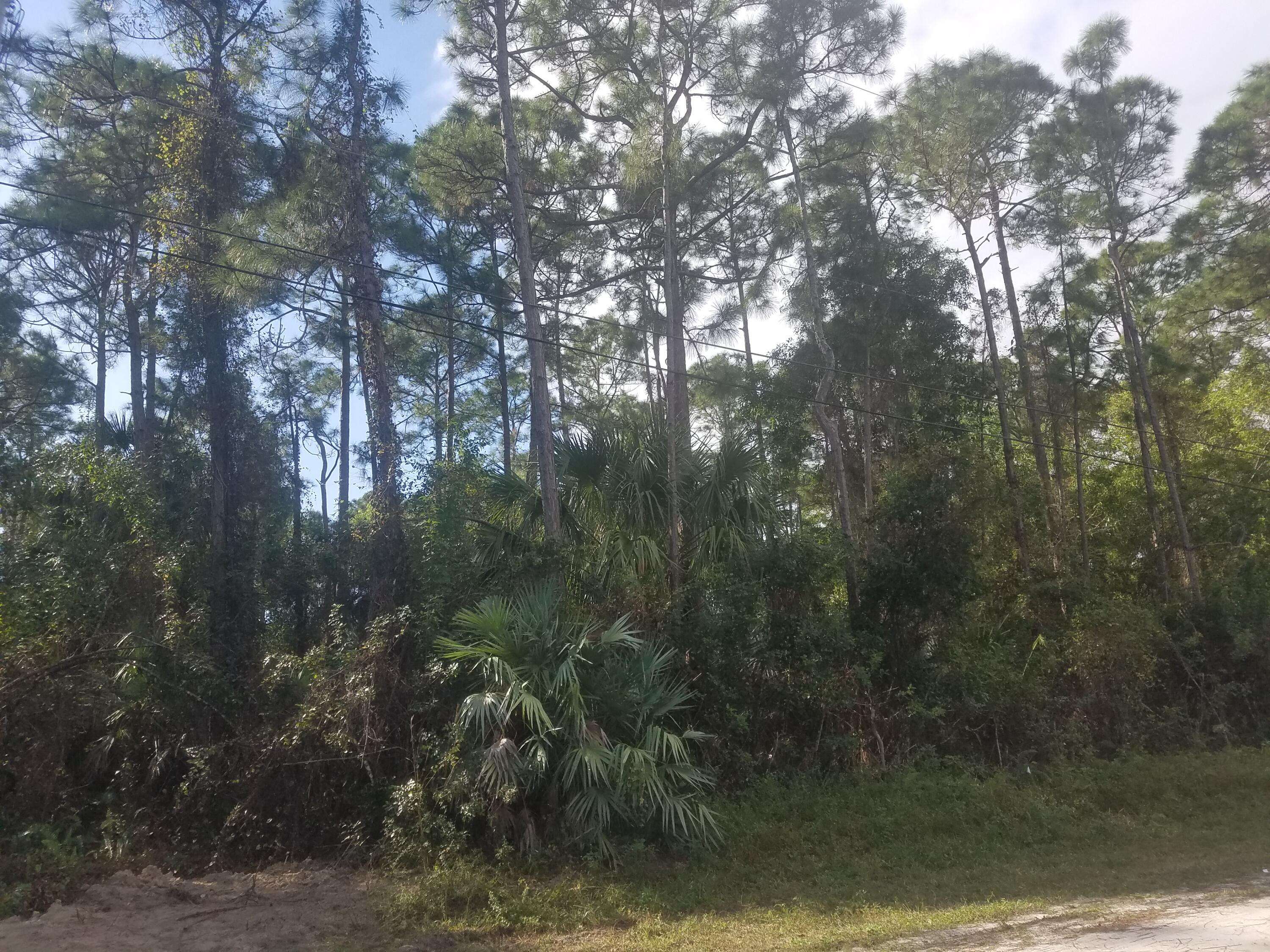 The Acreage, FL 33470,Lot 80 N 88th RD