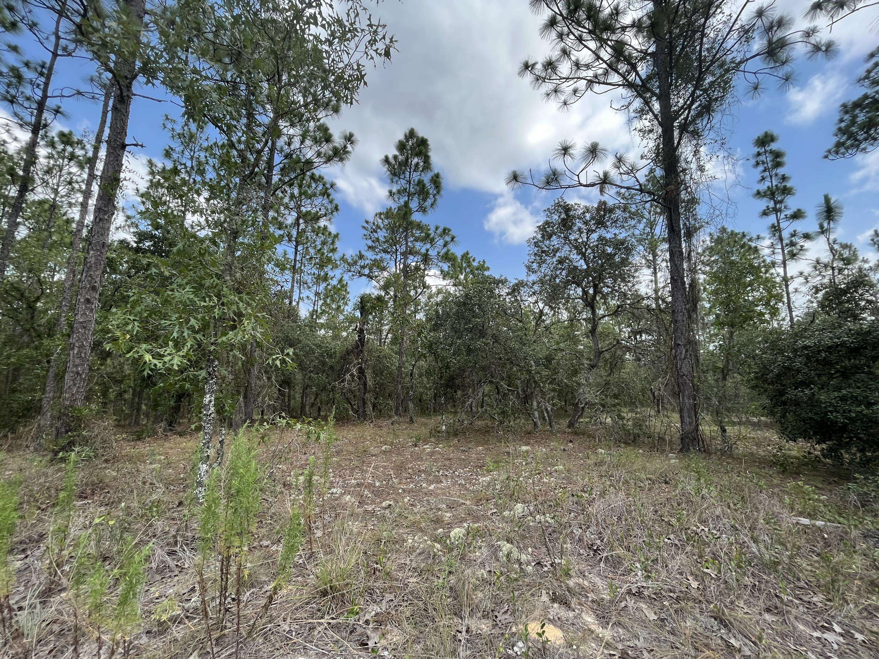 Dunnellon, FL 34431,000 SW Neptune BLVD