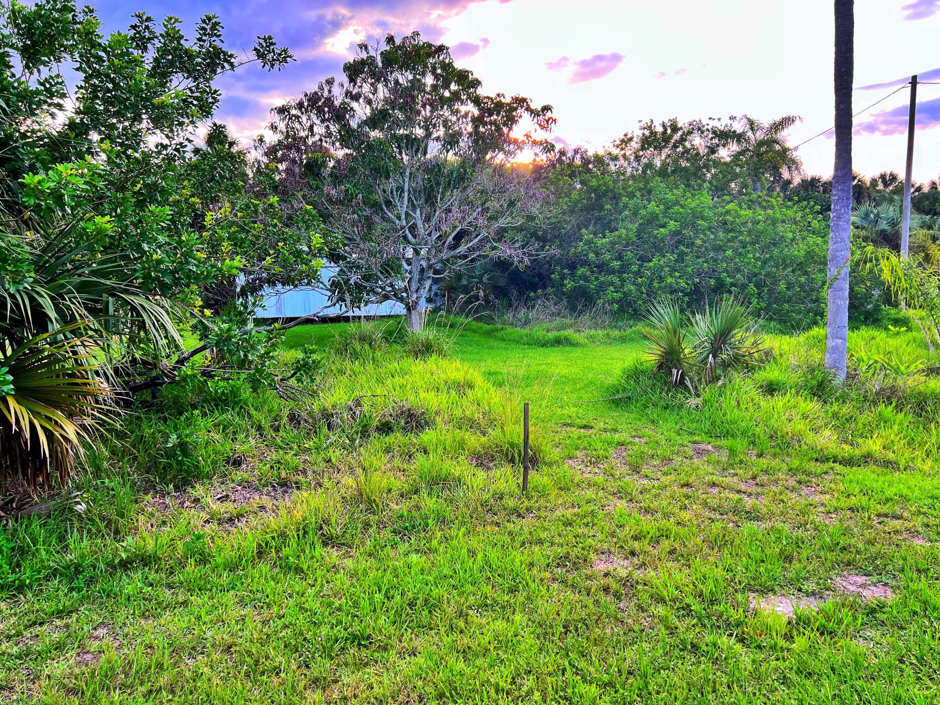 Moore Haven, FL 33471,1263 Click DR