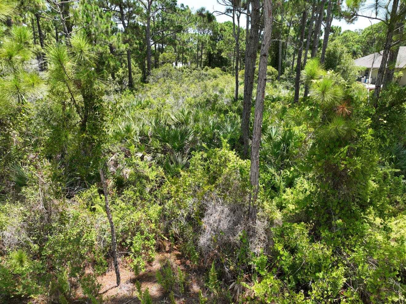 Fort Pierce, FL 34951,0 Tree Top TRL