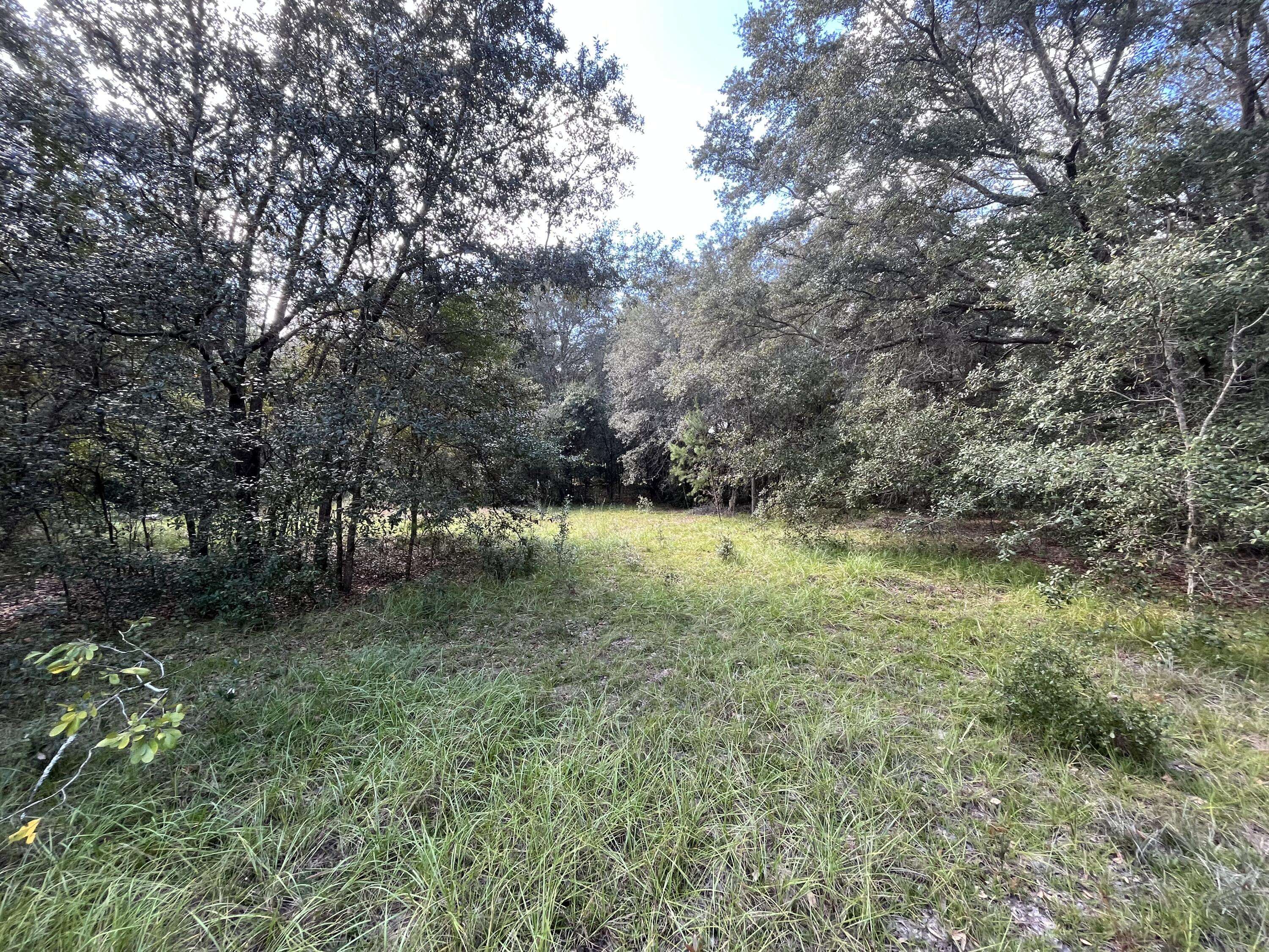 Keystone Heights, FL 32656,7662 Cactus ST