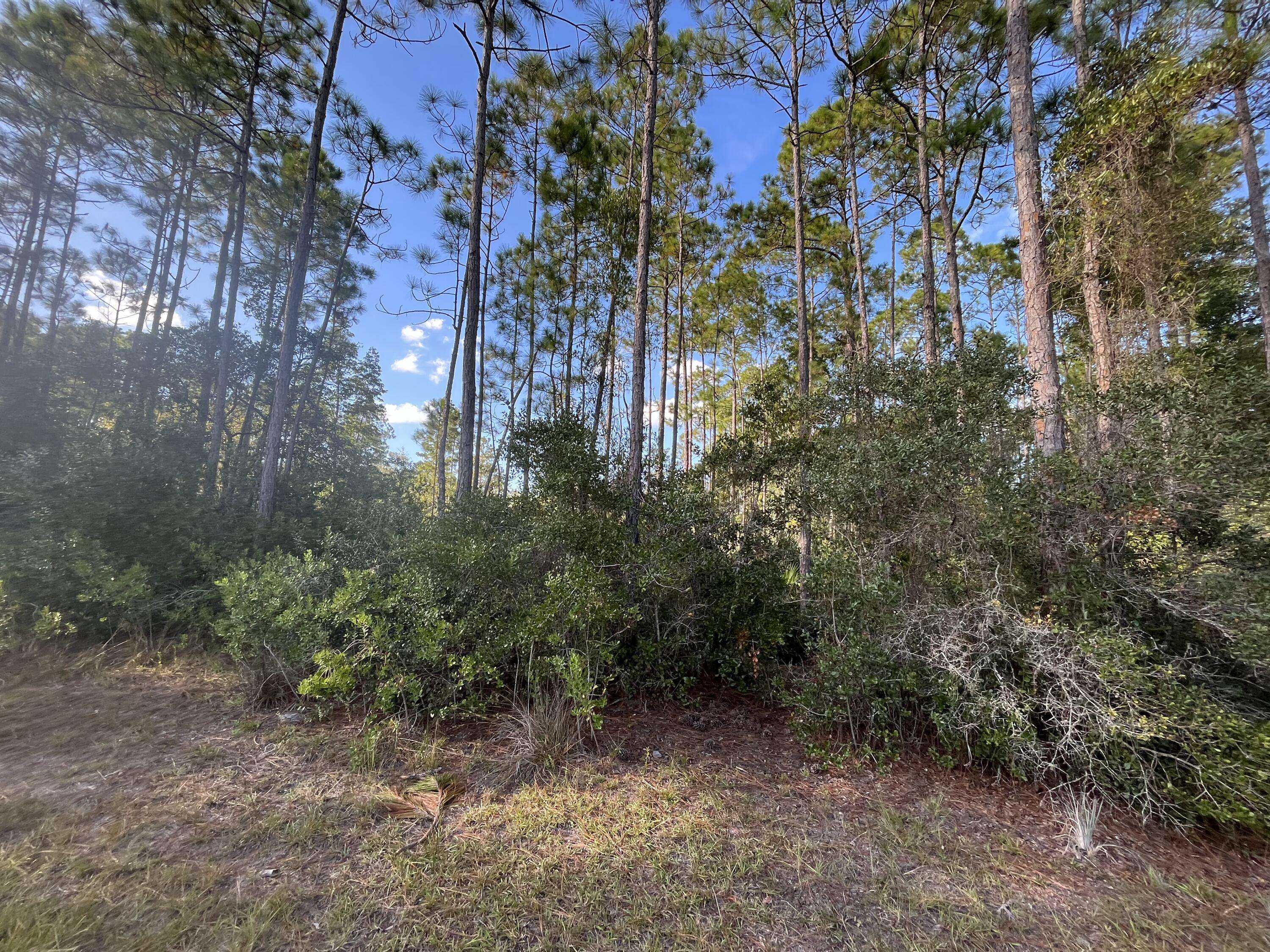 Palatka, FL 32177,110 Yukon AVE