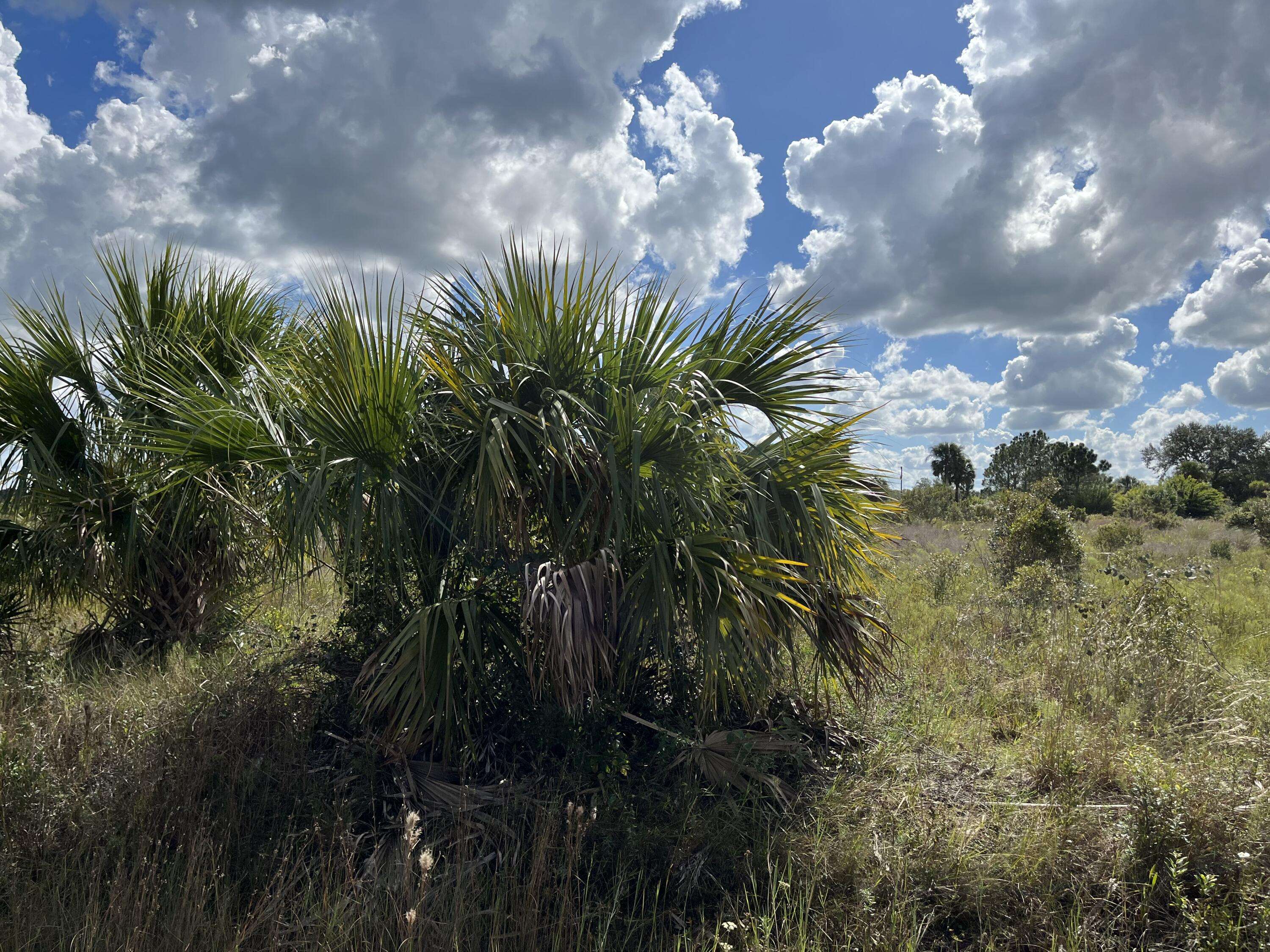 Okeechobee, FL 34972,18240 NW 316th ST