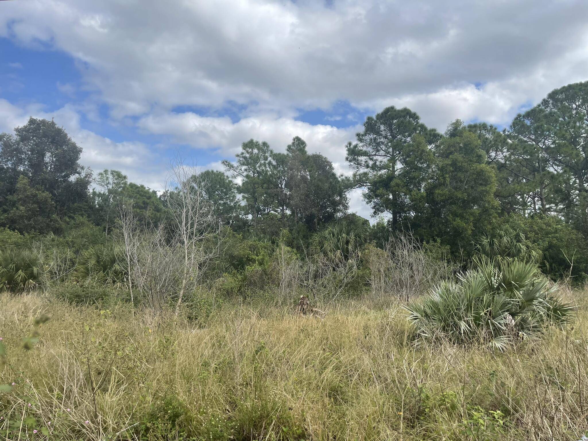 The Acreage, FL 33412,15670 N 93 ST