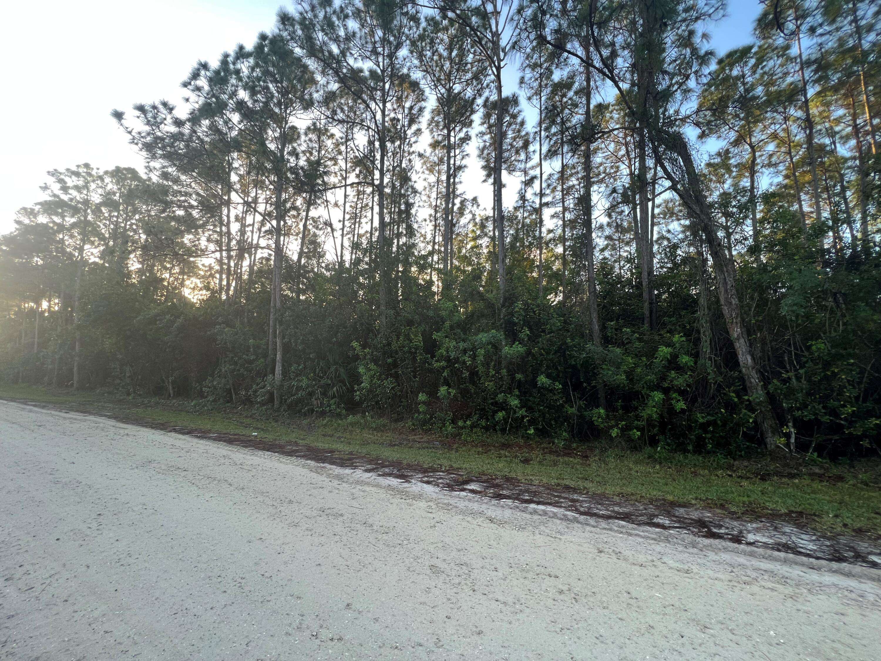 The Acreage, FL 33470,0000 N 72nd RD