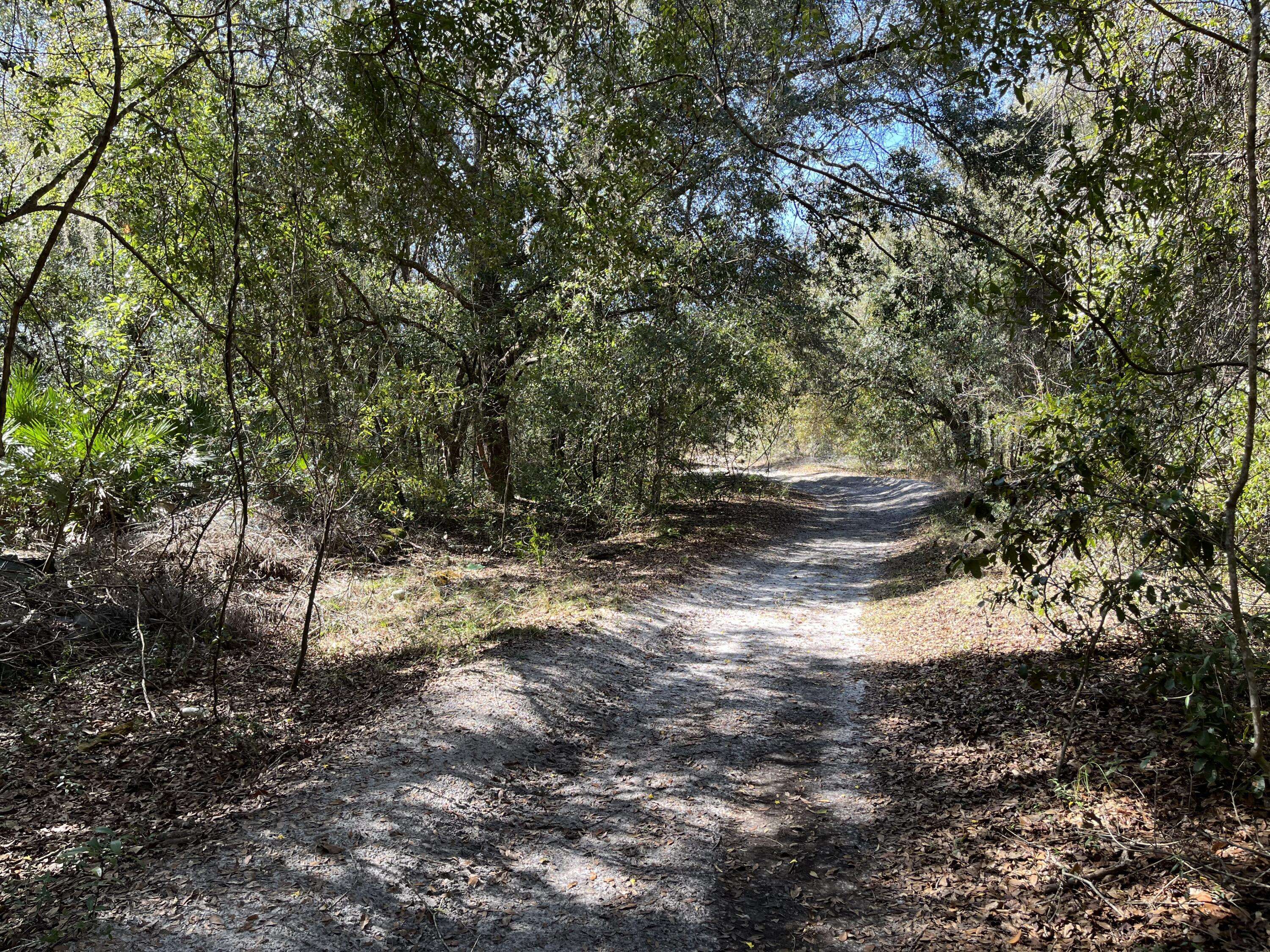 Hernando, FL 34442,3748 E Peggy ST
