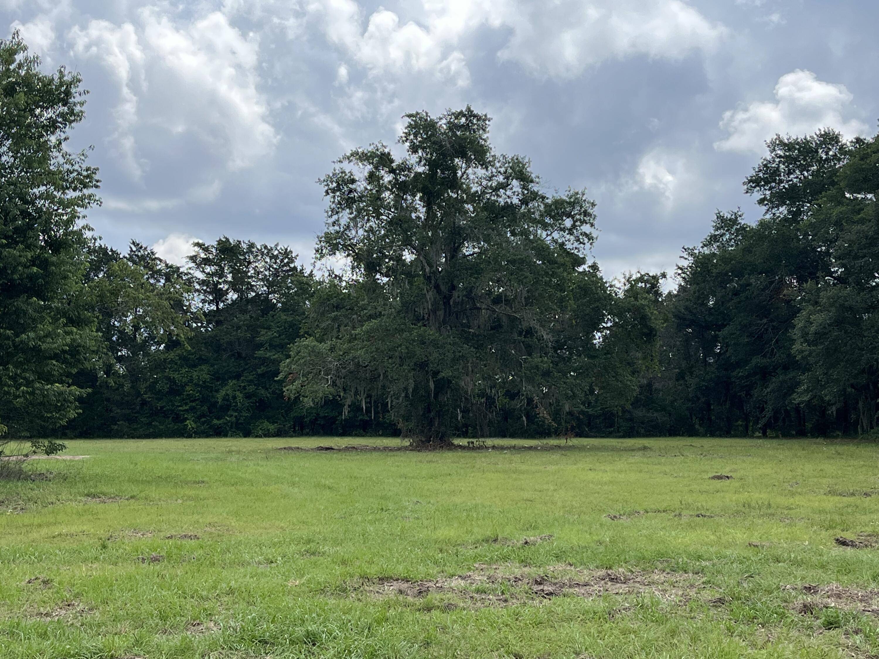 Gainesville, FL 32609,17021 NE 21st ST