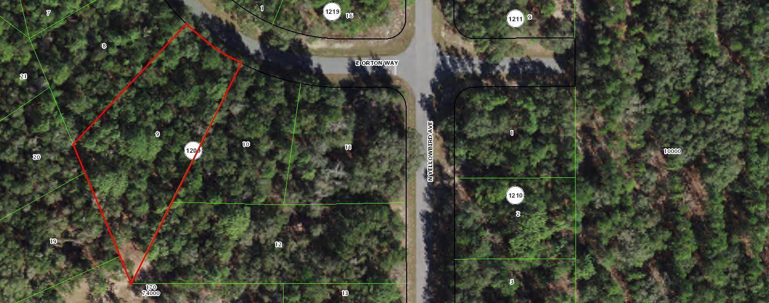 Citrus Springs, FL 34434,8276 N Orton WAY