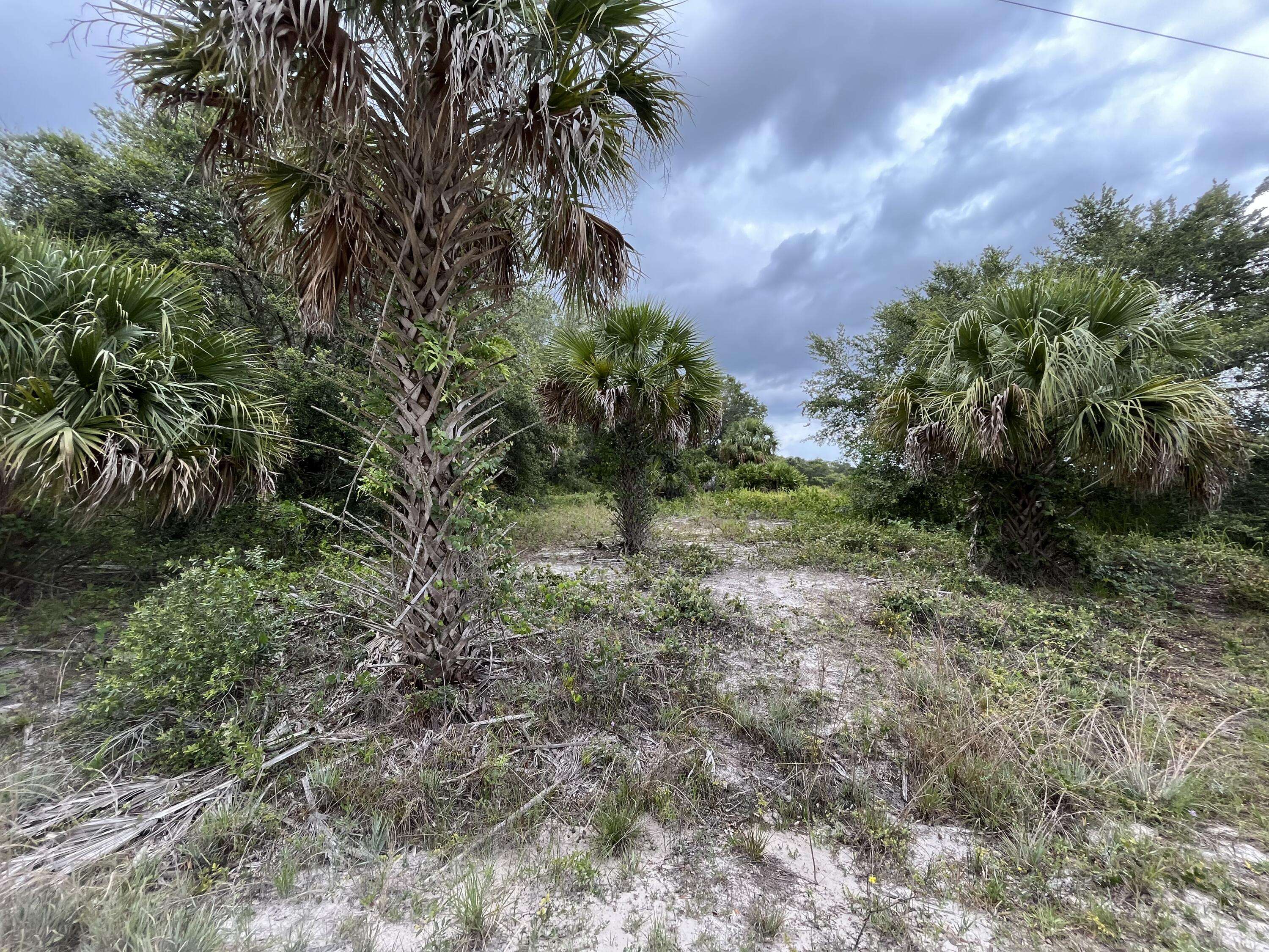 Okeechobee, FL 34972,15211 NW 296th ST