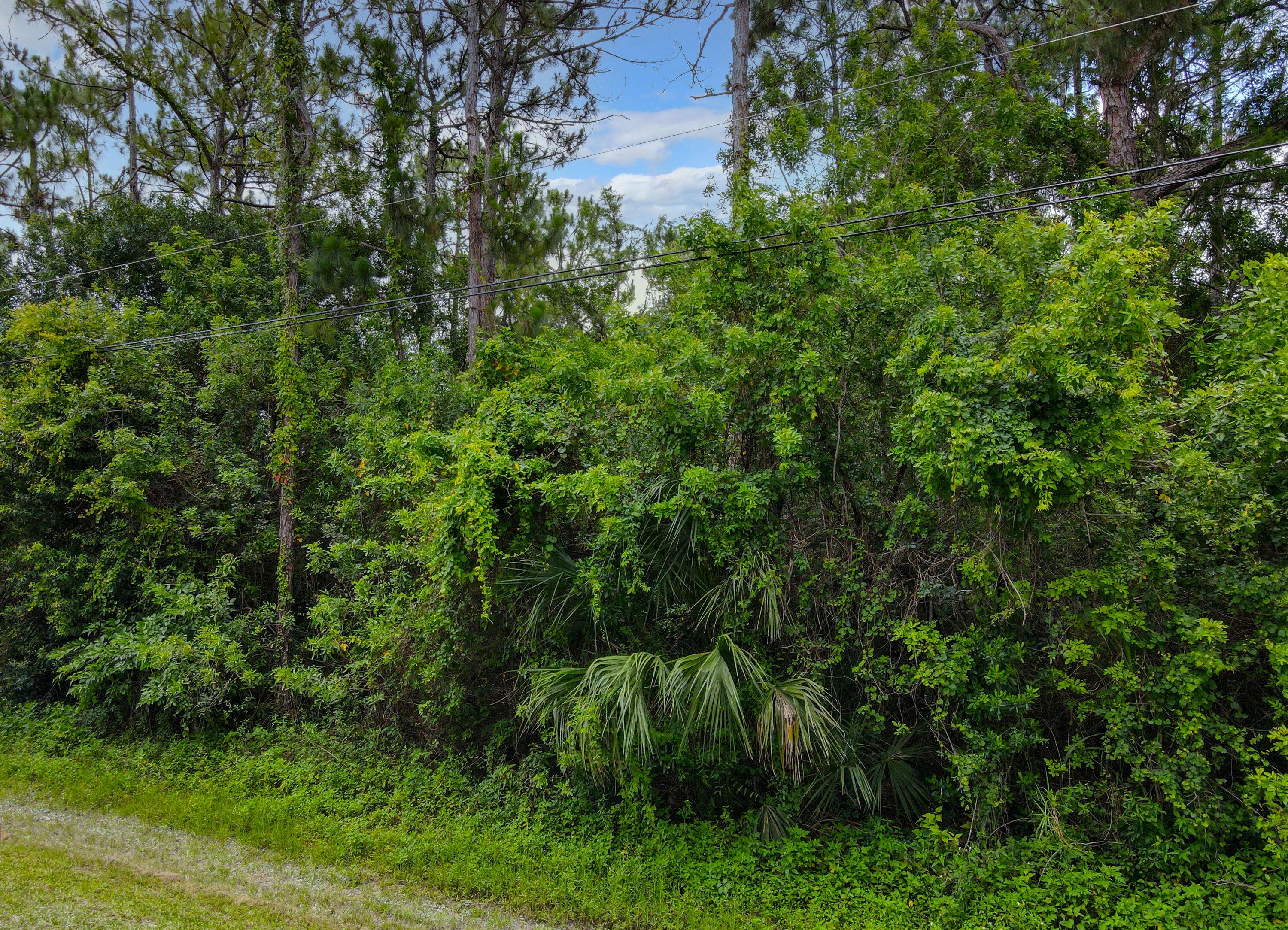 Loxahatchee, FL 33470,0 N 62nd RD