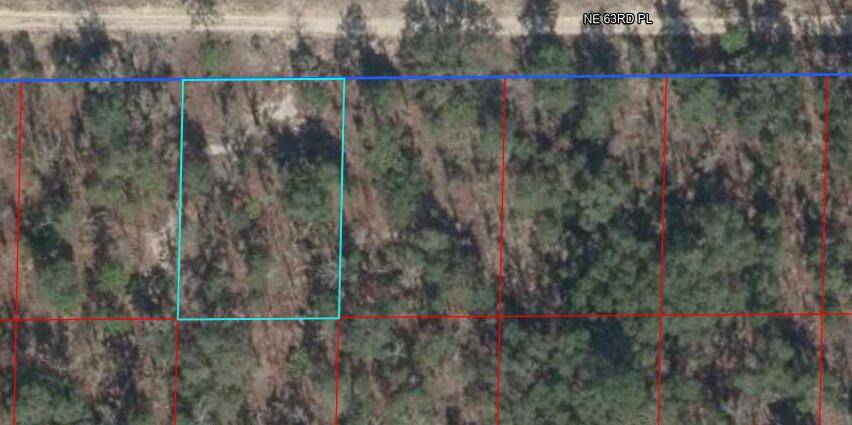 Bronson, FL 32621,Tbd NE 63rd Place