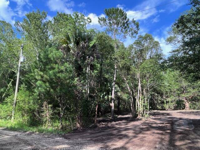 Bunnell, FL 32110,630 Quarter Horse LN