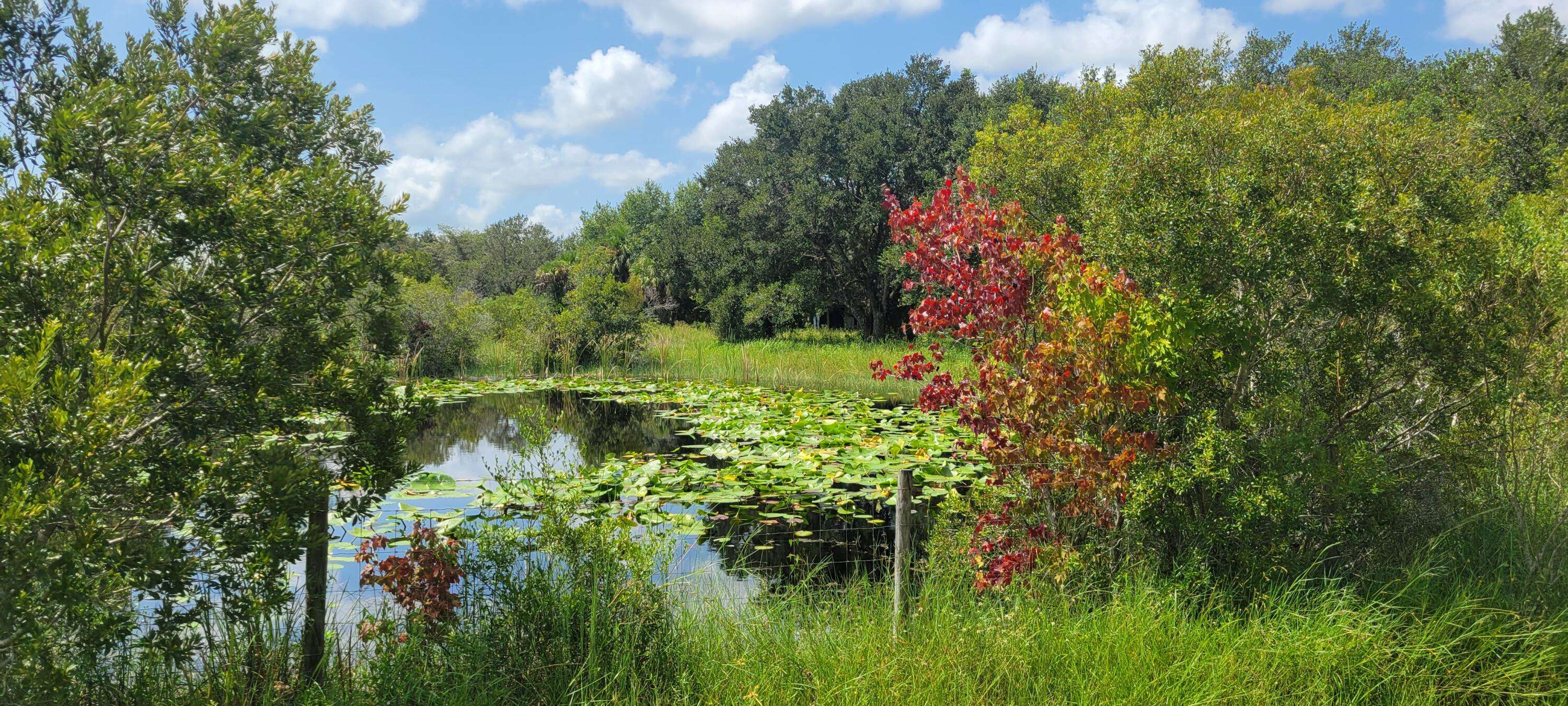 Okeechobee, FL 34972,15790 NW 300th ST