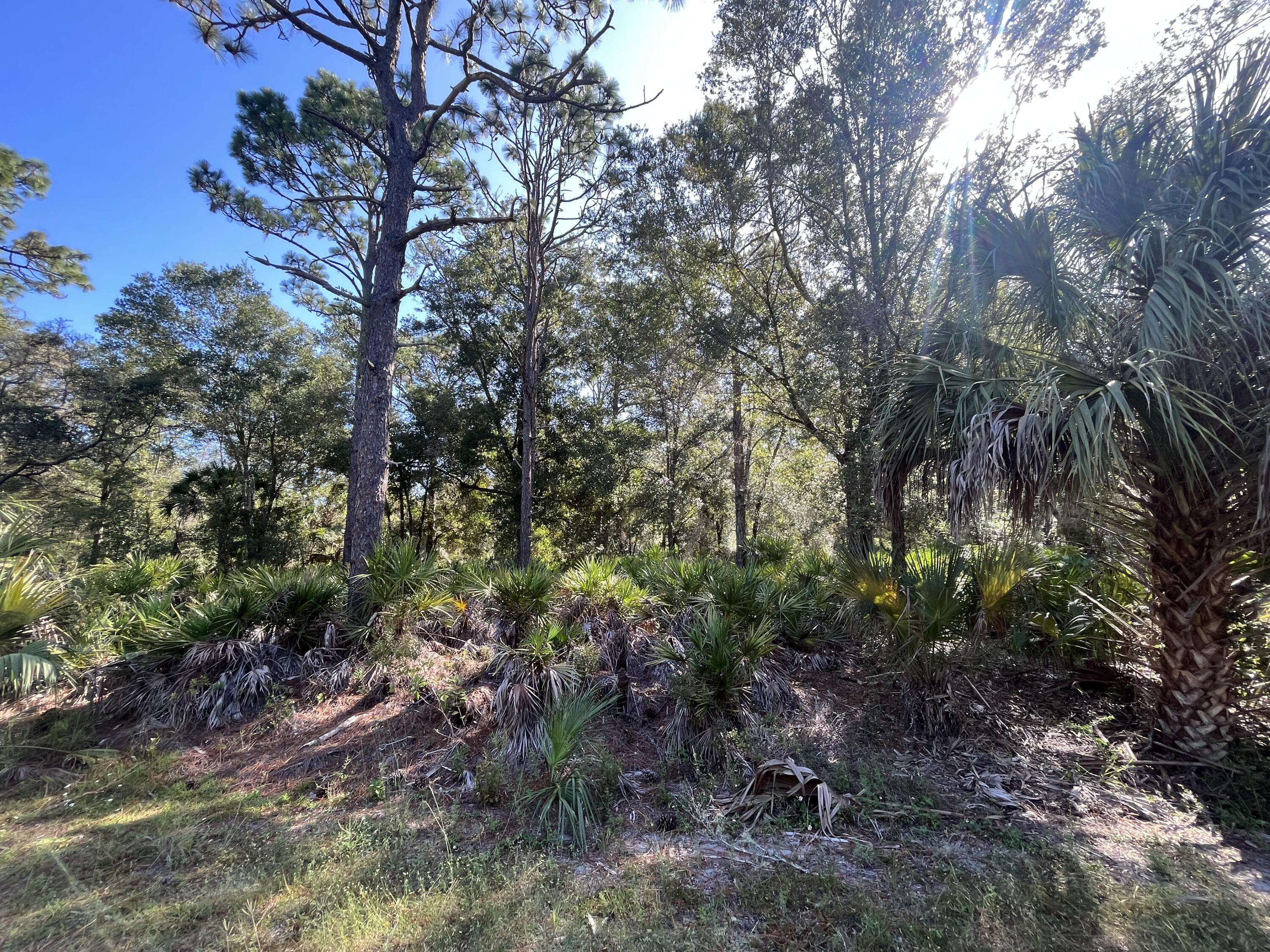 Crystal River, FL 34428,9963 N Ferncliff PT