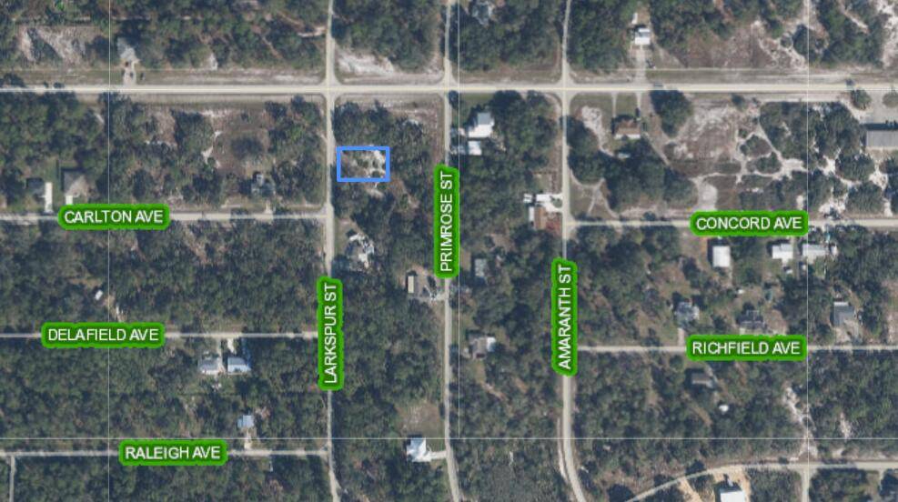 Lake Placid, FL 33852,853 Larkspur ST