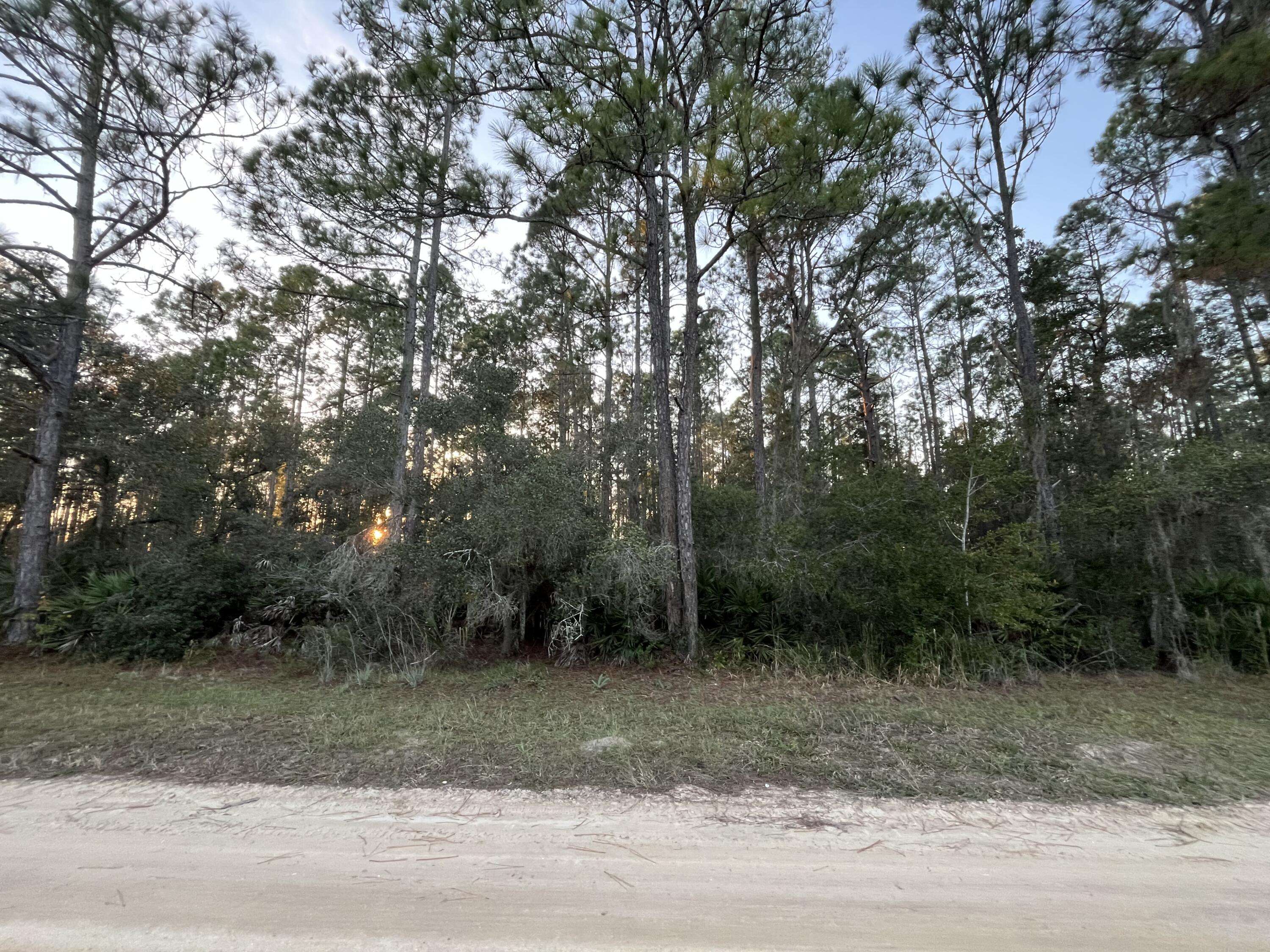 Interlachen, FL 32148,Tbd Royal AVE