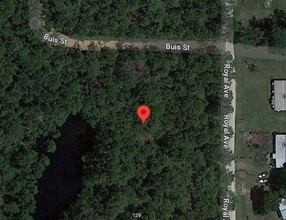 Interlachen, FL 32148,Tbd Royal AVE