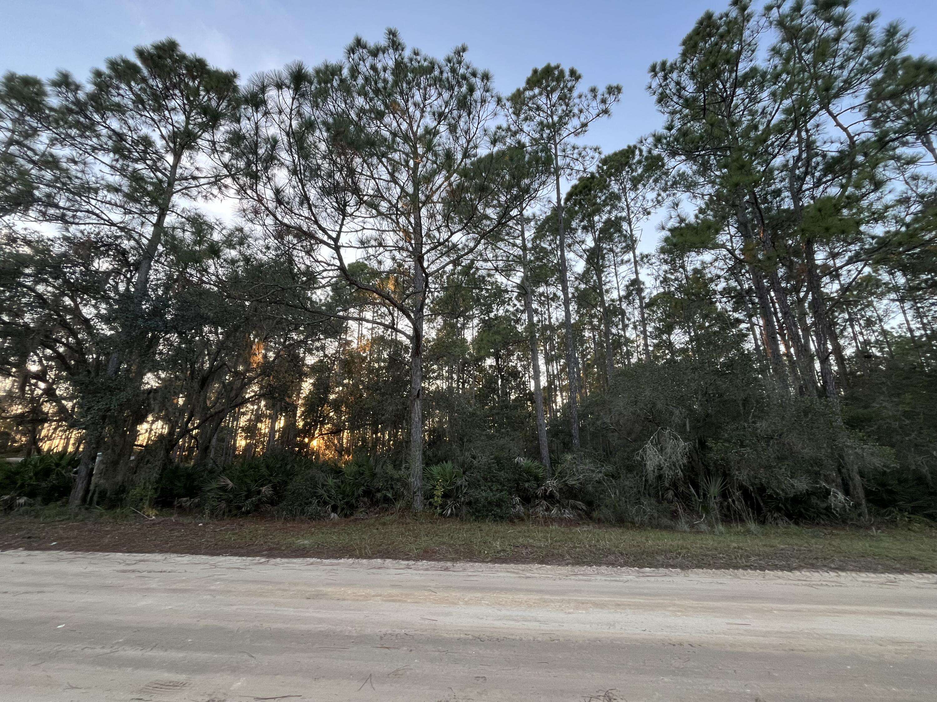 Interlachen, FL 32148,Tbd Royal AVE