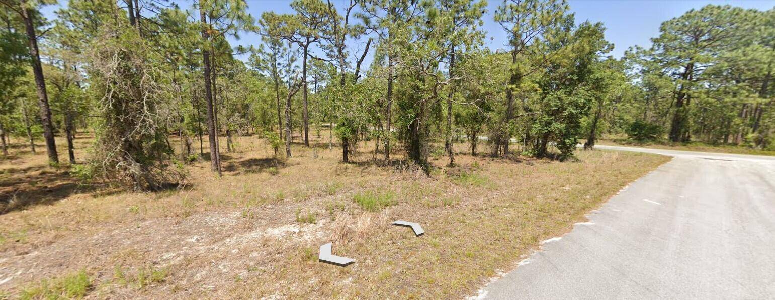 Dunnellon, FL 34431,Tbd NW Wateroak AVE