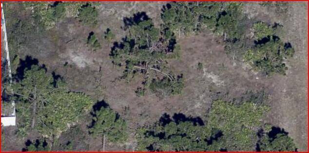 Lehigh Acres, FL 33971,4603 N Jane AVE