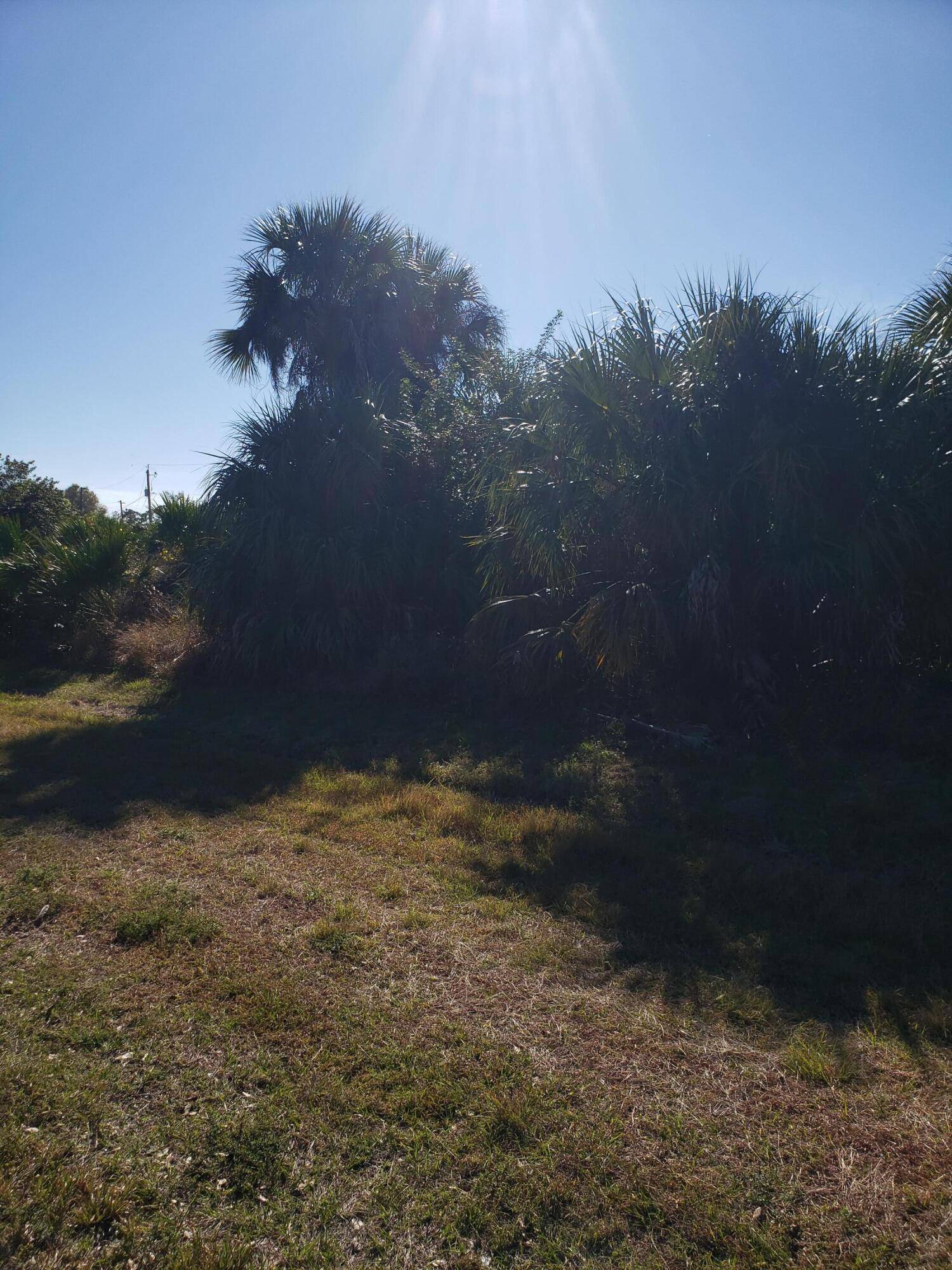 Labelle, FL 33935,3023 June CIR