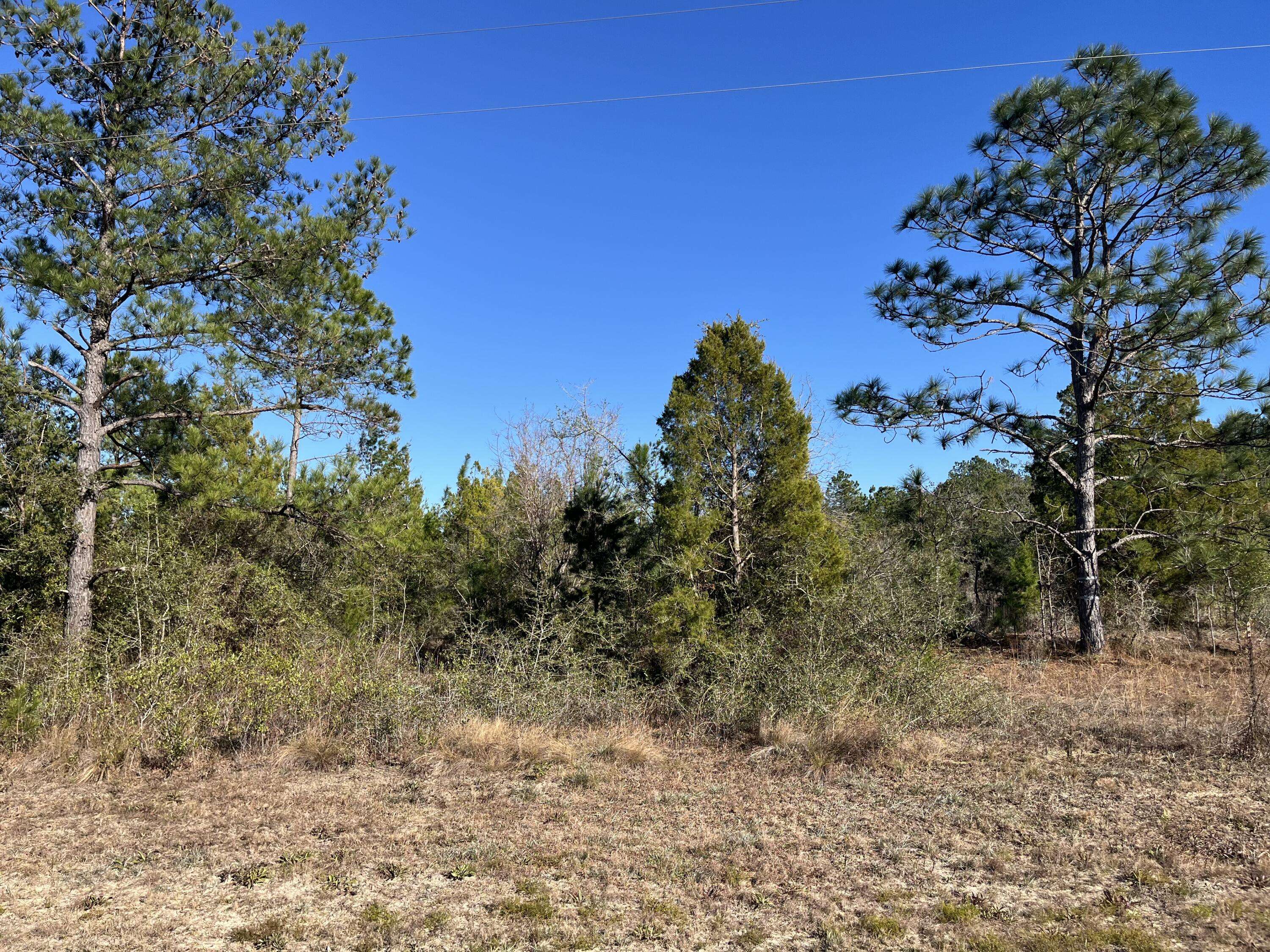 Marianna, FL 32448,Tbd Fairview RD