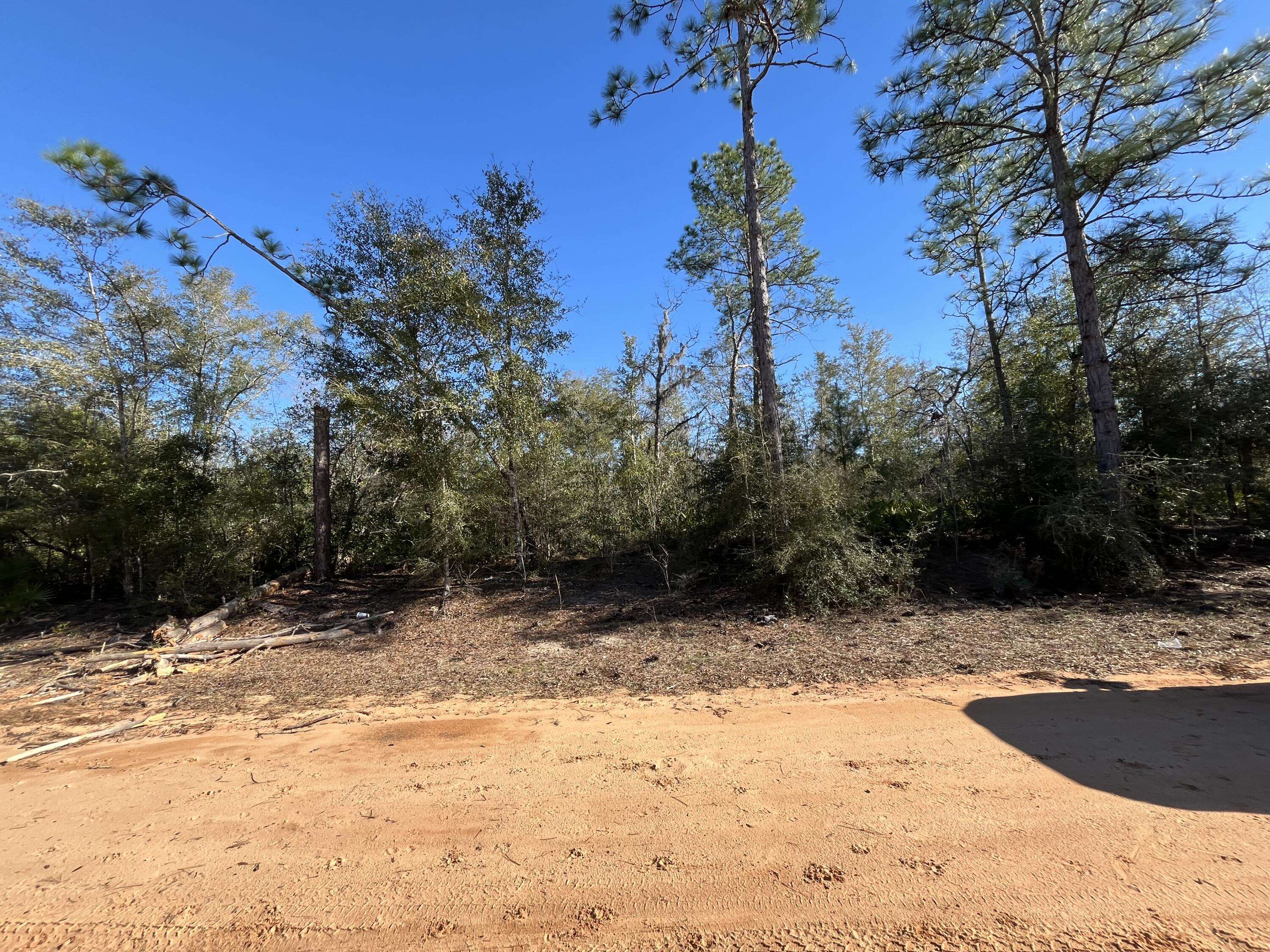 Alford, FL 32420,Tbd Bienville CT