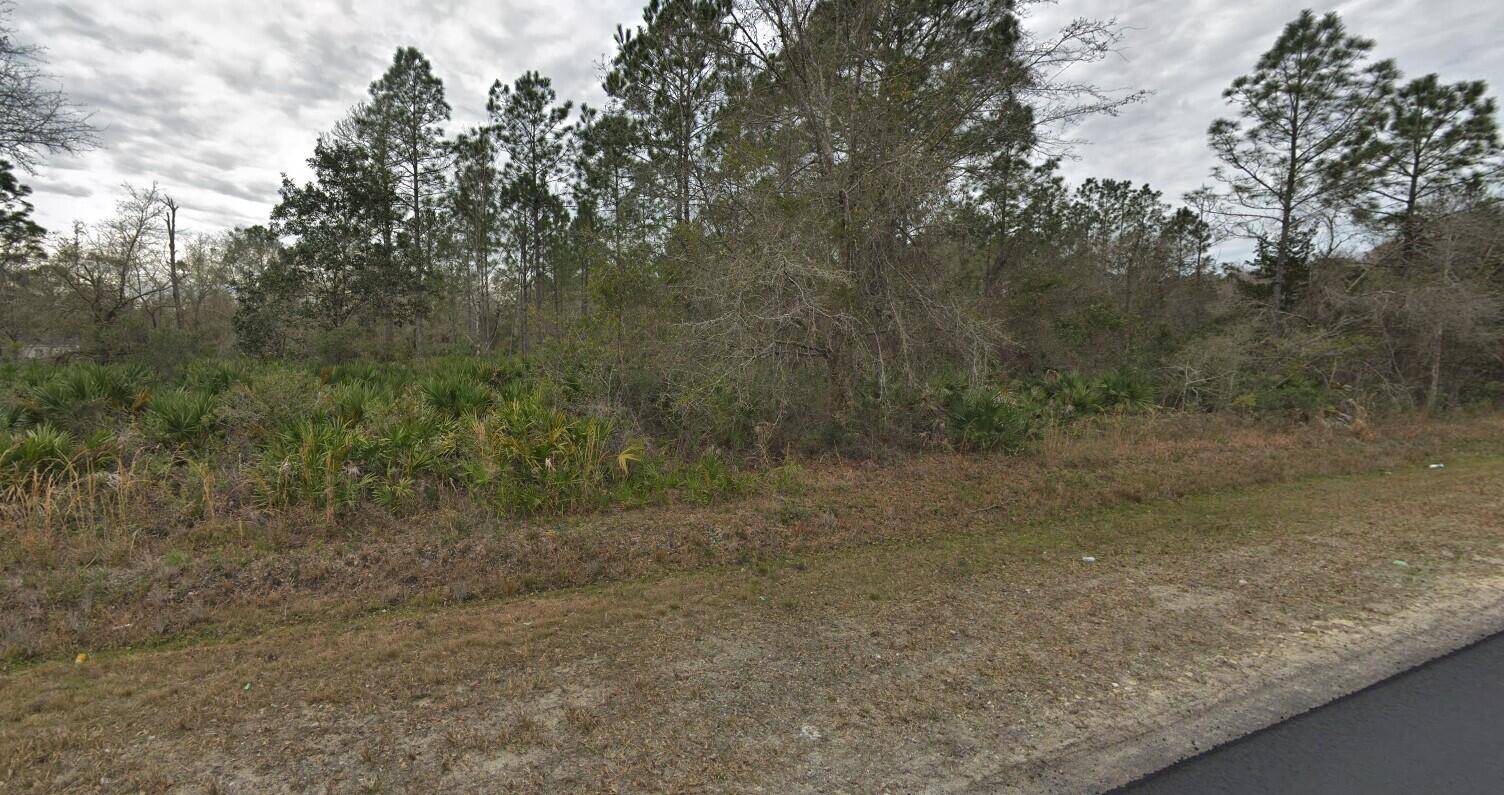 Hastings, FL 32145,10615 Kirchherr AVE