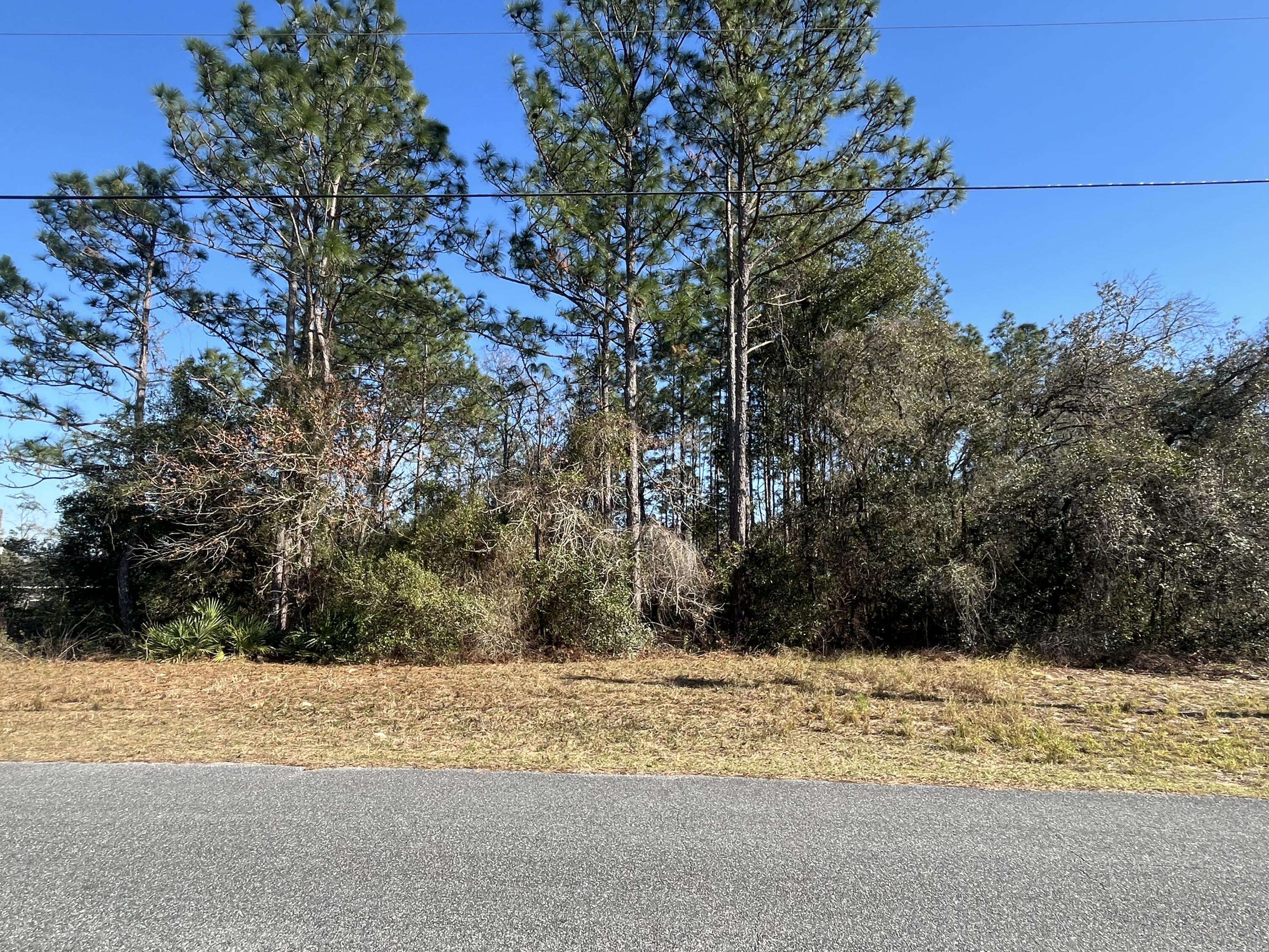 Ocala, FL 34473,Tbd 130th Lane RD