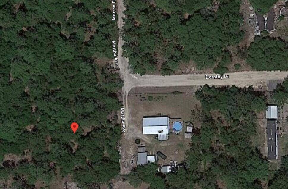 Interlachen, FL 32148,Tbd Martha DR