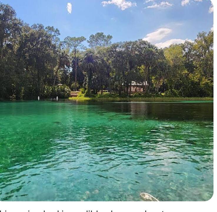 Dunnellon, FL 34431,00 SW Little Cliffs DR