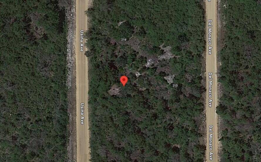 Interlachen, FL 32148,214 Usina AVE