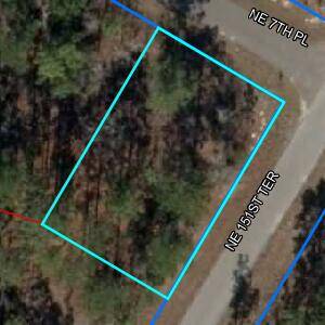 Williston, FL 32696,Lot1 Blk87 NE NE 7th Pl PL