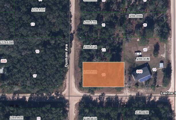Interlachen, FL 32148,Xxx Levine ST