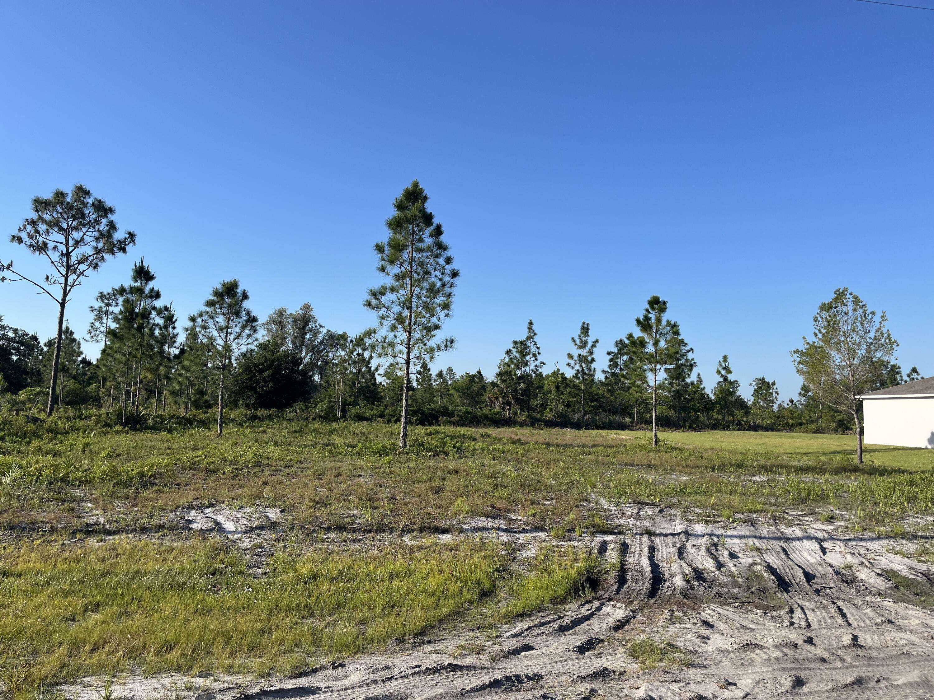 Indian Lake Estates, FL 33855,0 Calendula DR