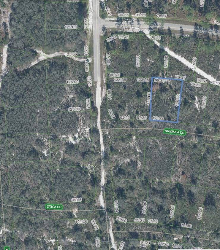 Sebring, FL 33872,8214 Armisha DR