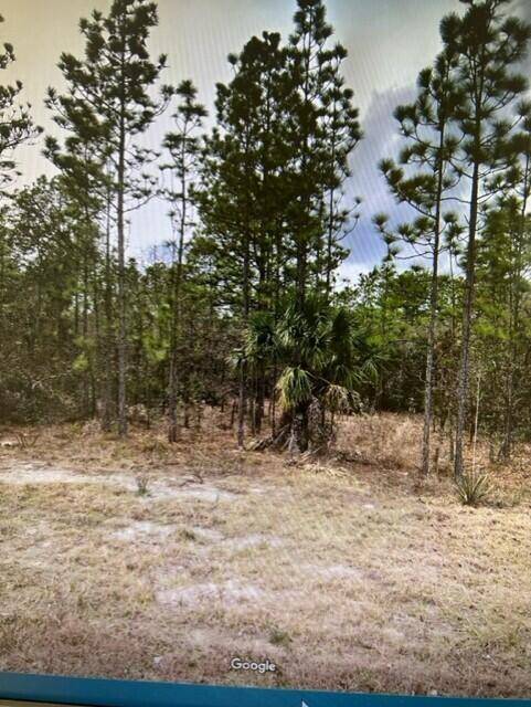 Weeki Wachee, FL 34614,0 Mellon RD