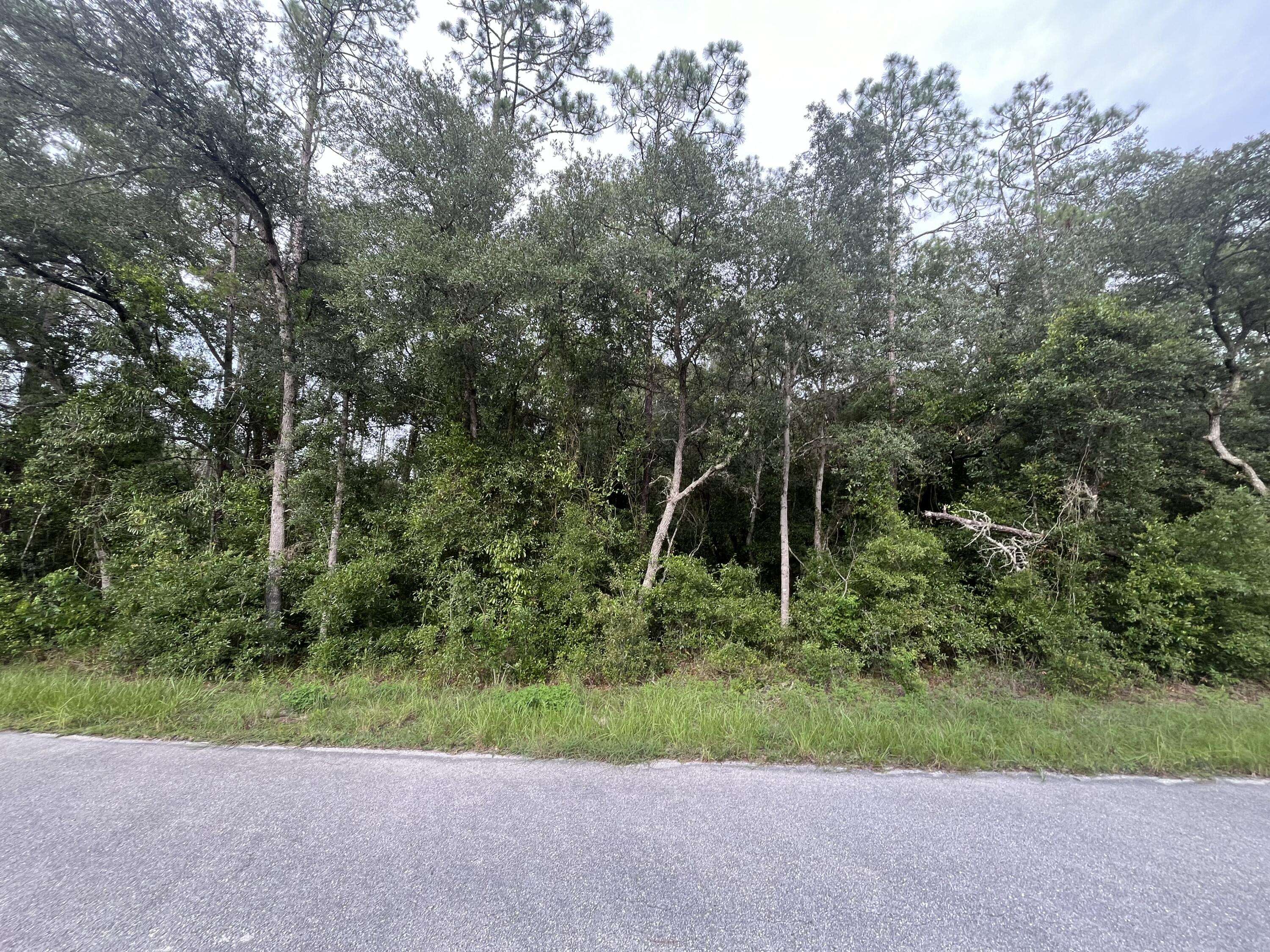 Dunnellon, FL 34431,0 Hunter Hill AVE