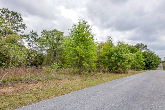 Dunnellon, FL 34431,Lot 31 SW Valencia Heights AVE