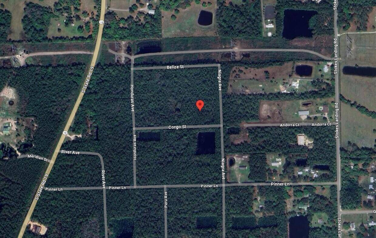 Palatka, FL 32177,102 Congo ST