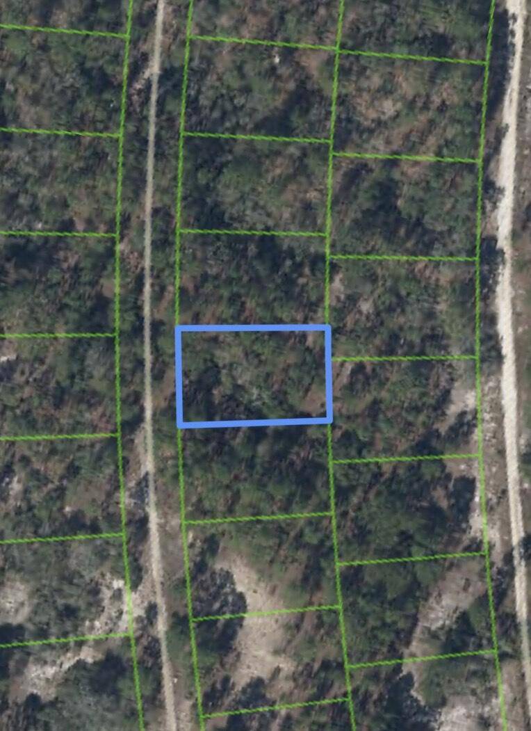 Lake Placid, FL 33852,211 Sunflower DR