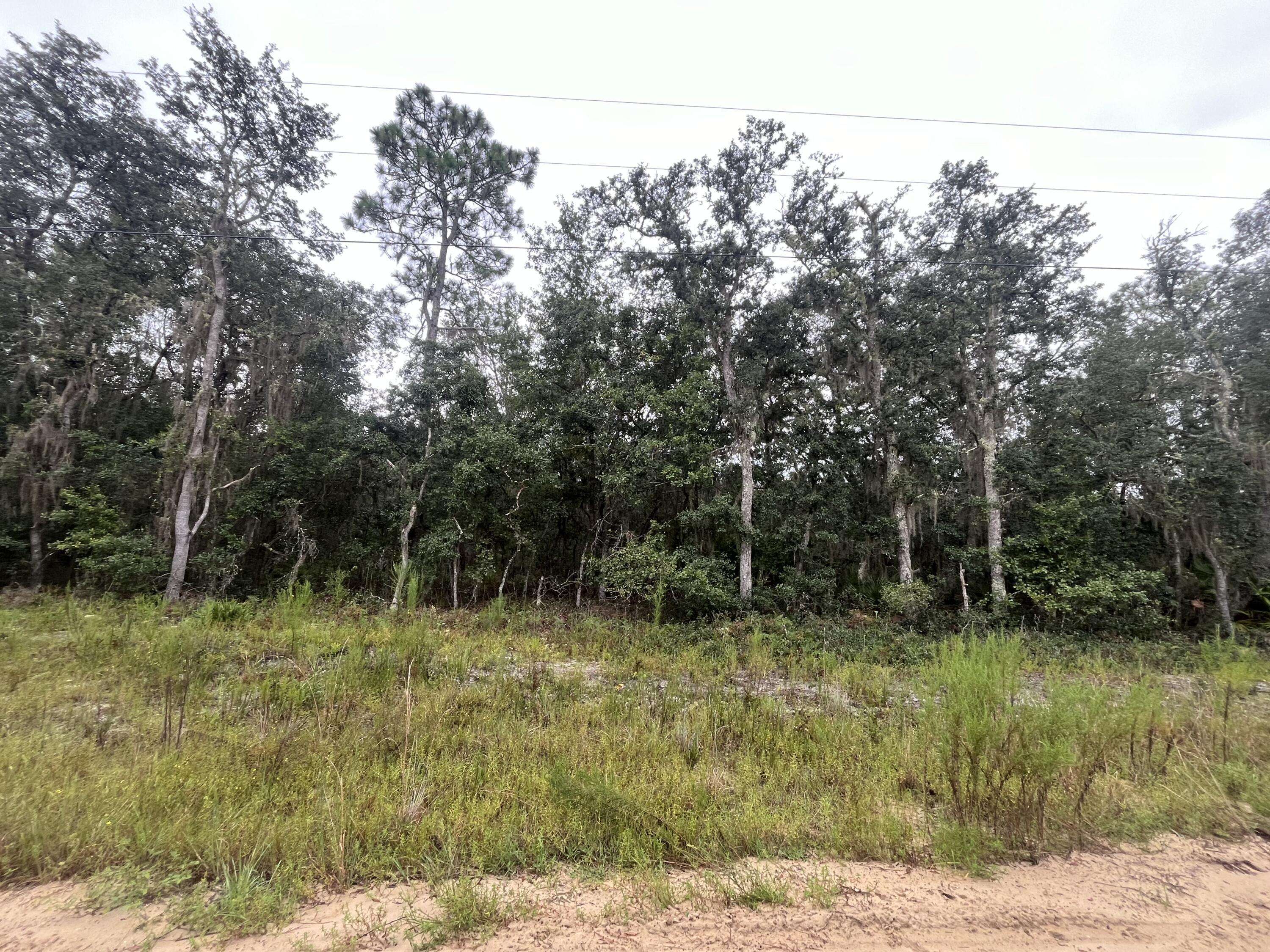 Interlachen, FL 32148,Tbd Glisson