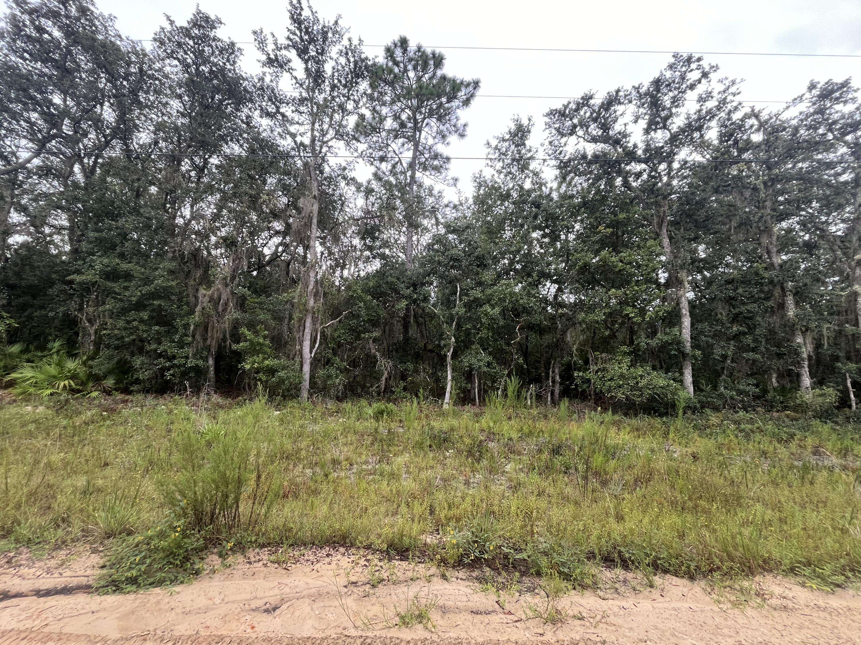 Interlachen, FL 32148,Tbd Glisson