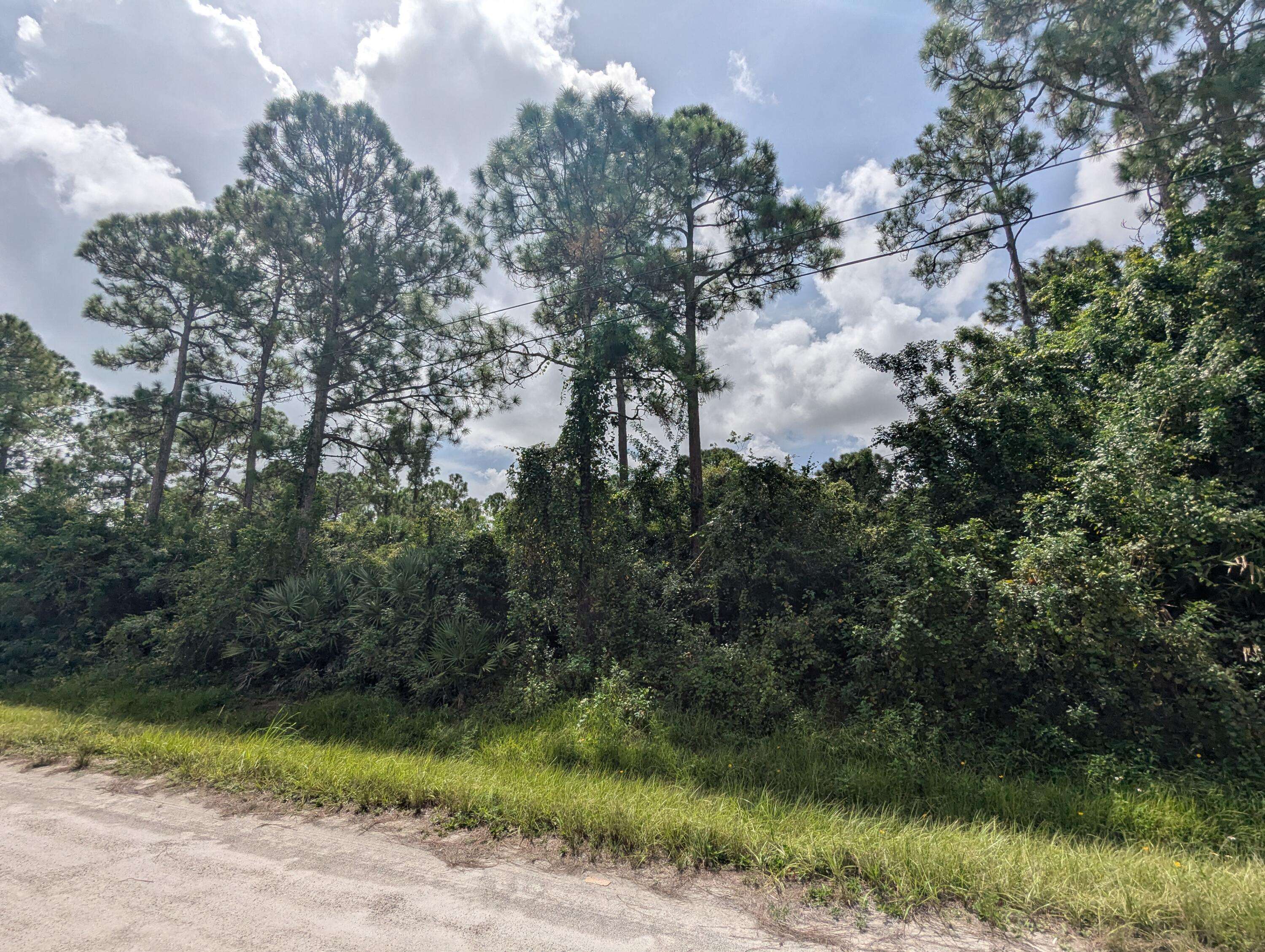 The Acreage, FL 33470,I-392 N 76 ST