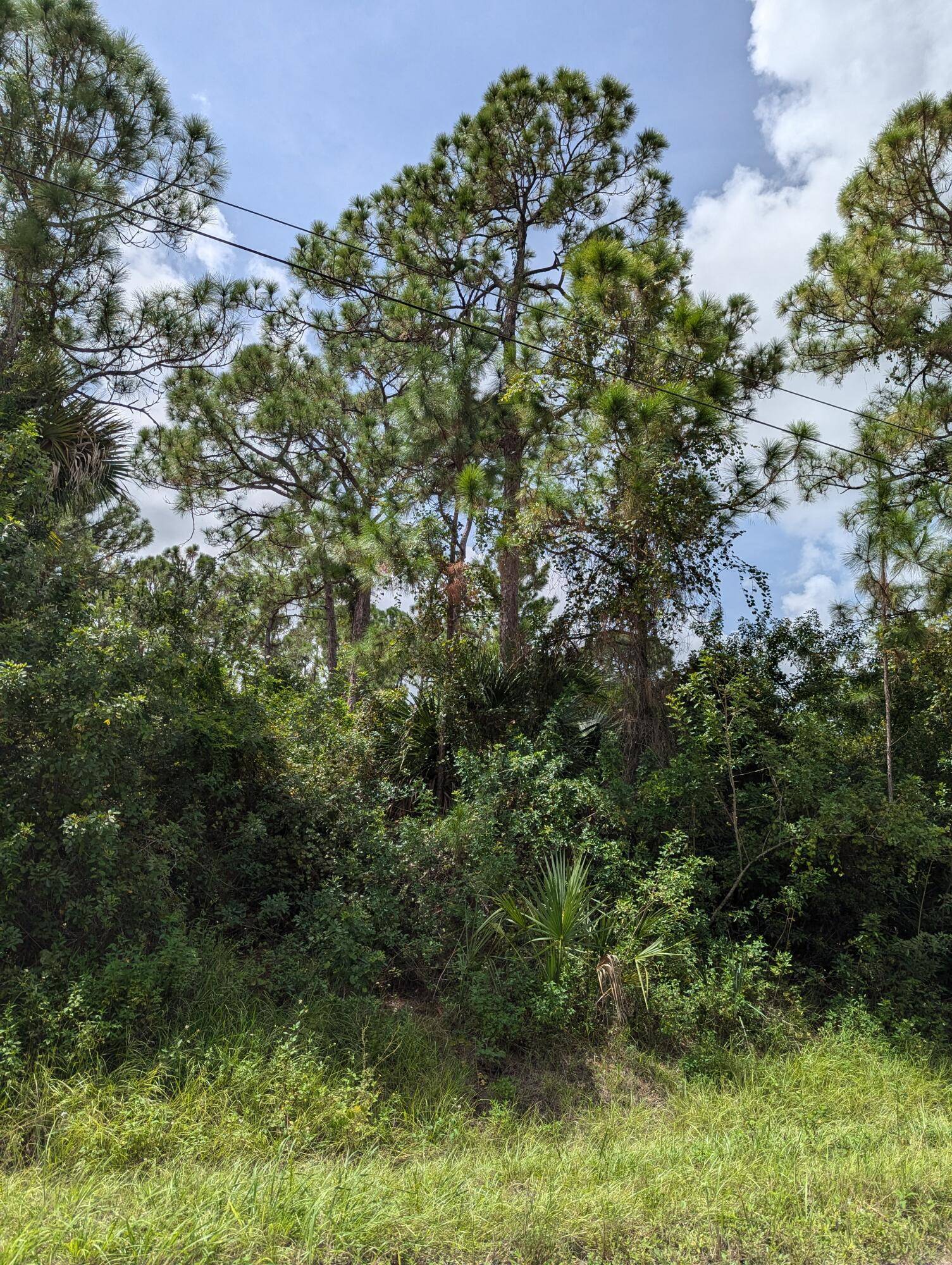 The Acreage, FL 33470,I-392 N 76 ST