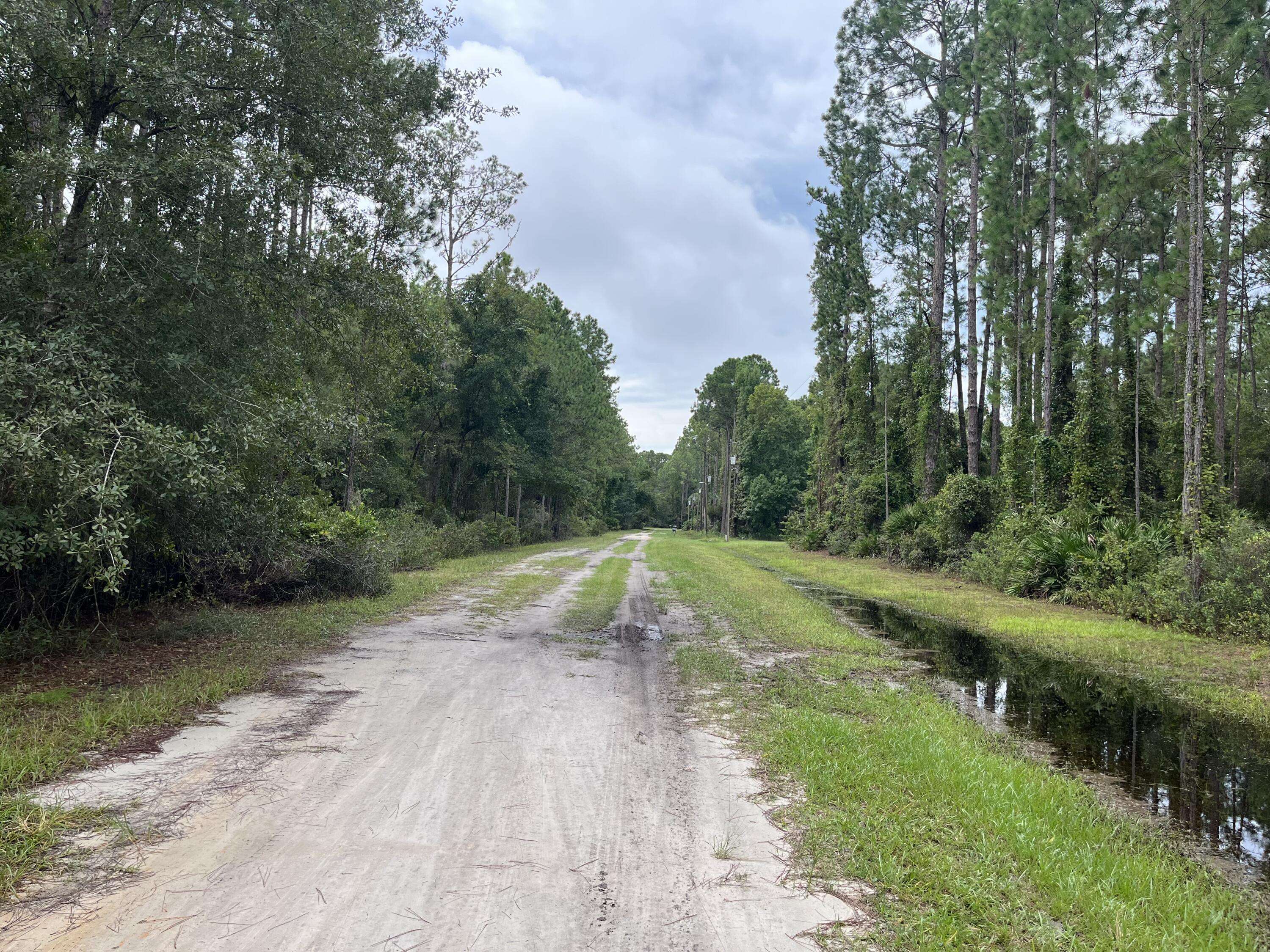 Georgetown, FL 32139,117 Mosswood ST