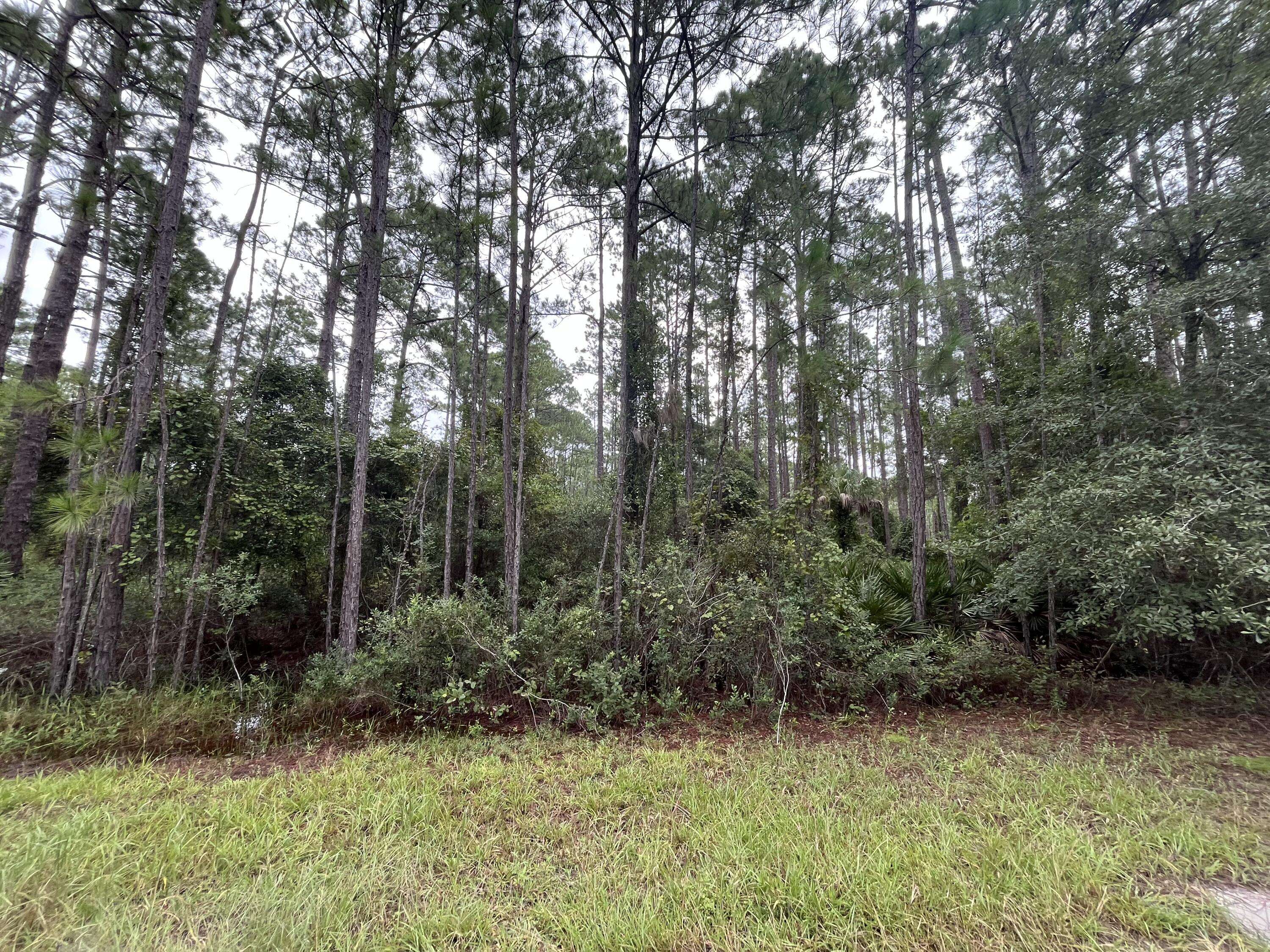 Georgetown, FL 32139,117 Mosswood ST