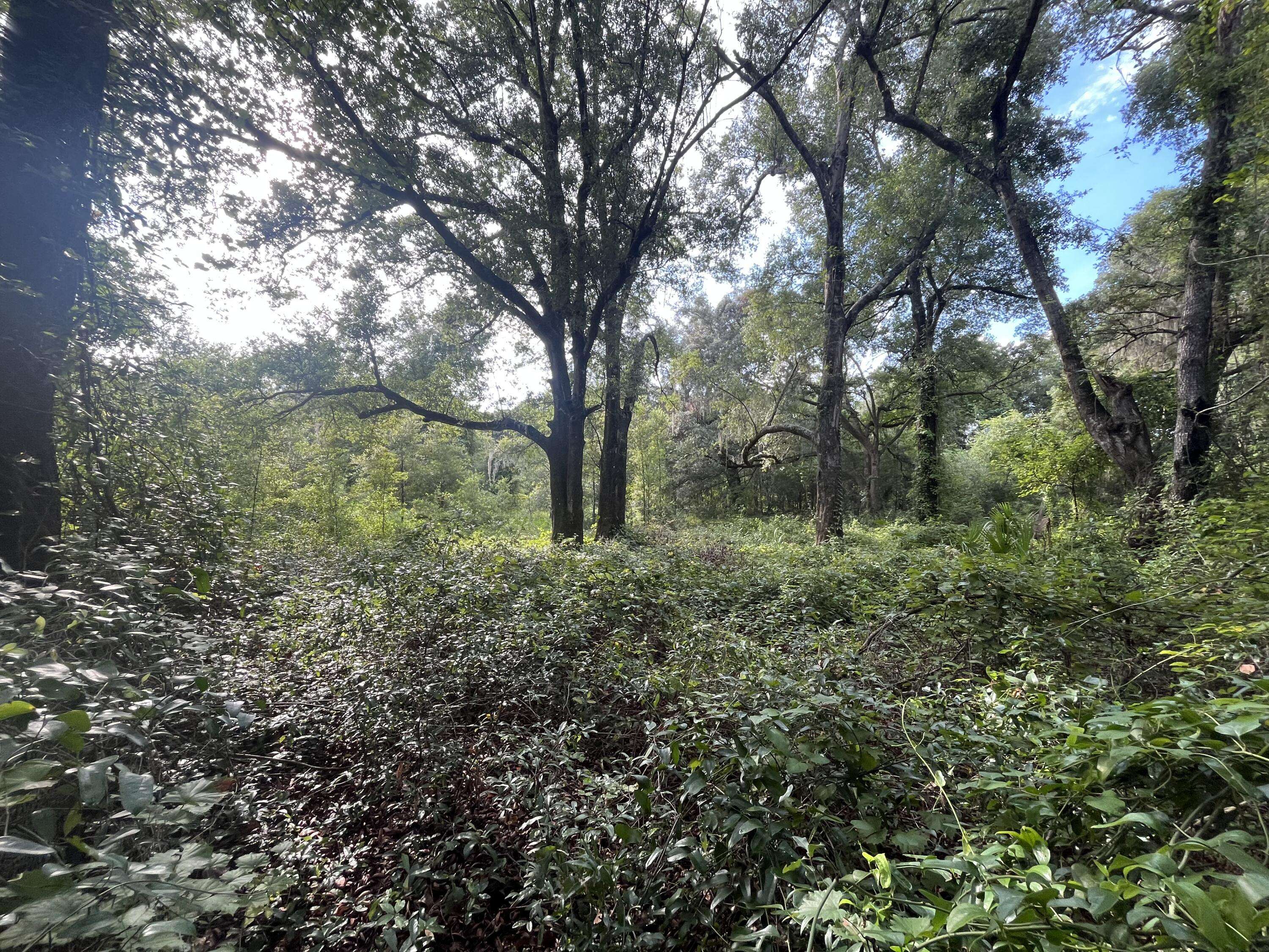 Interlachen, FL 32148,305 Milton AVE